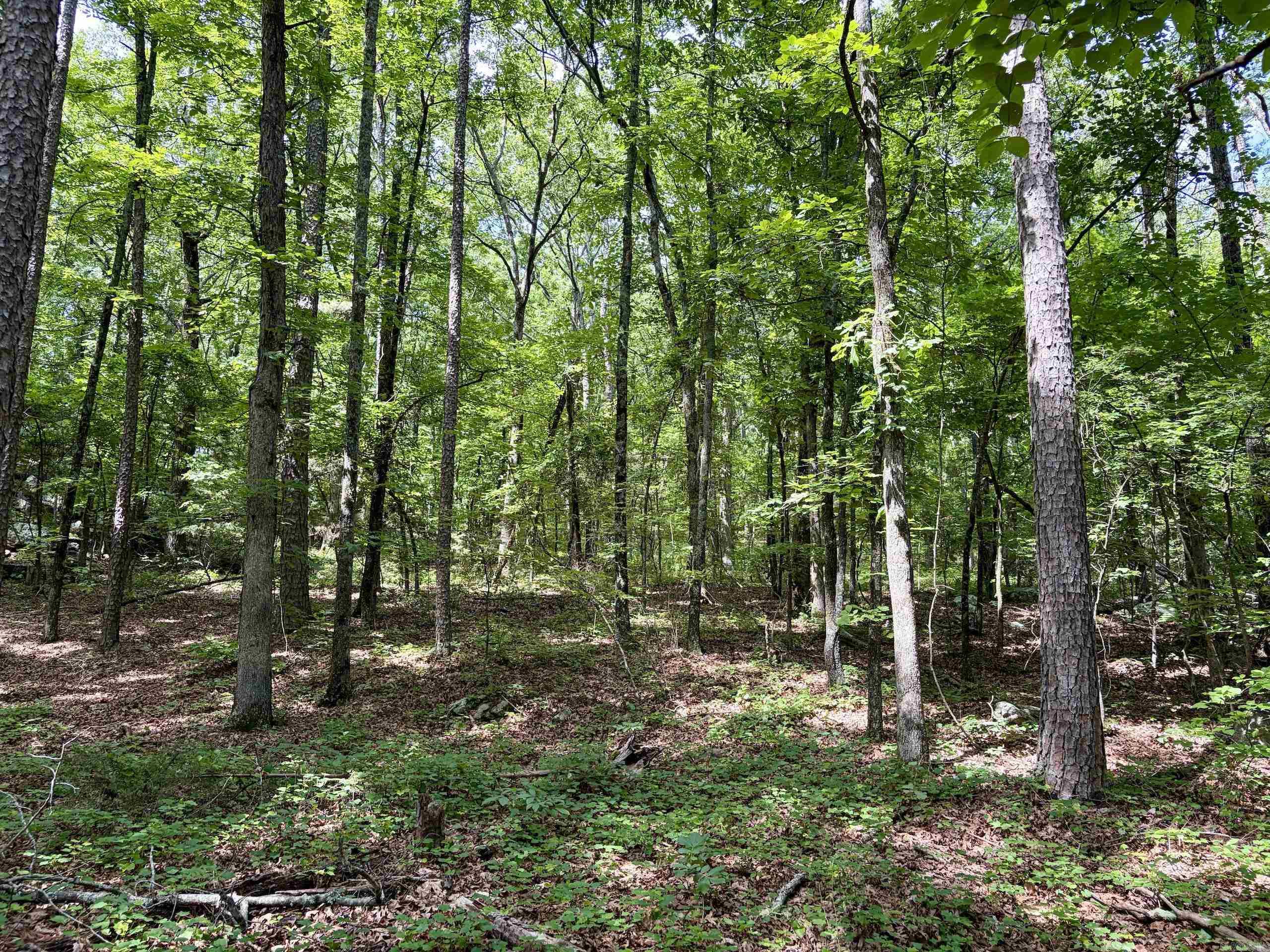 Not in Subdivision - Land