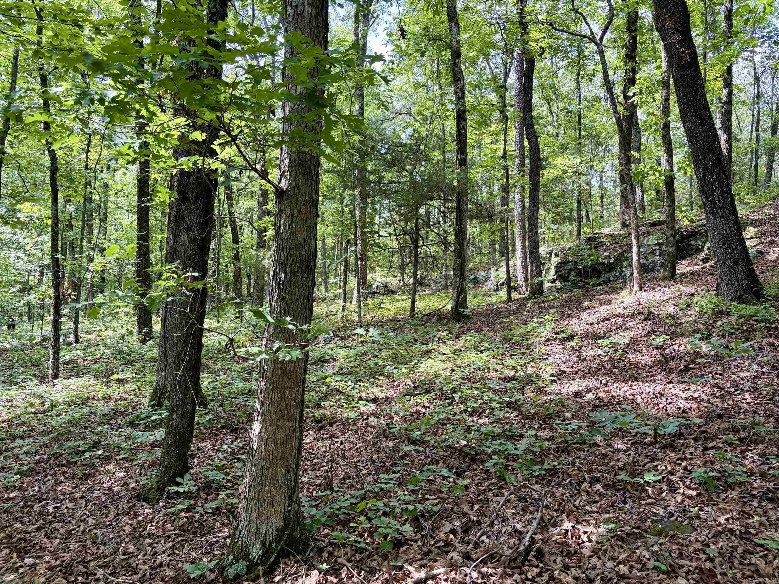 Not in Subdivision - Land