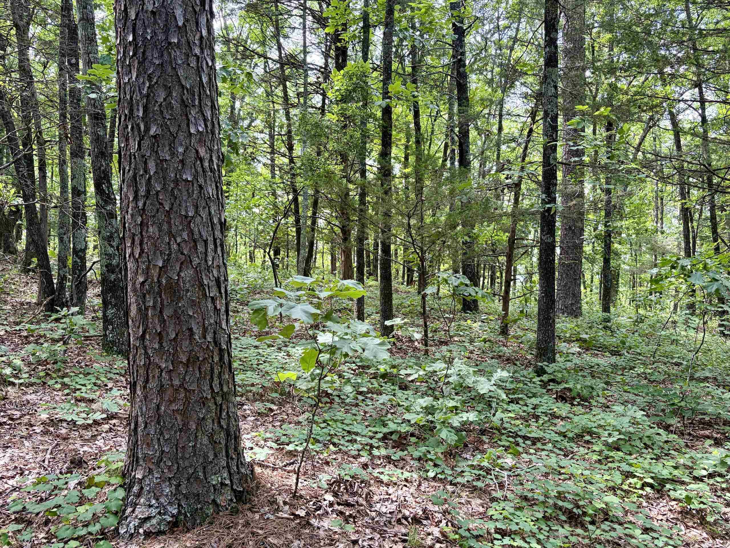 Not in Subdivision - Land