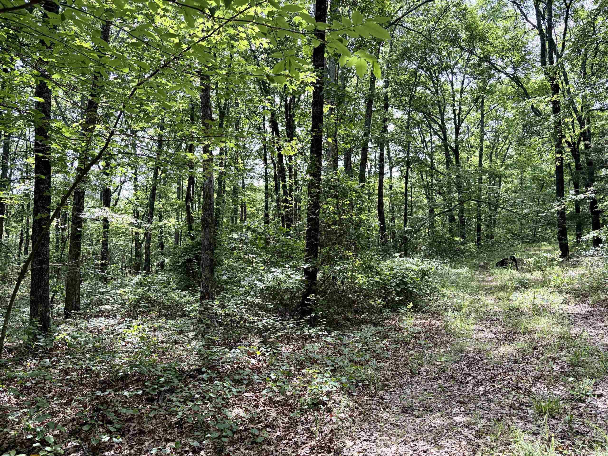 Not in Subdivision - Land