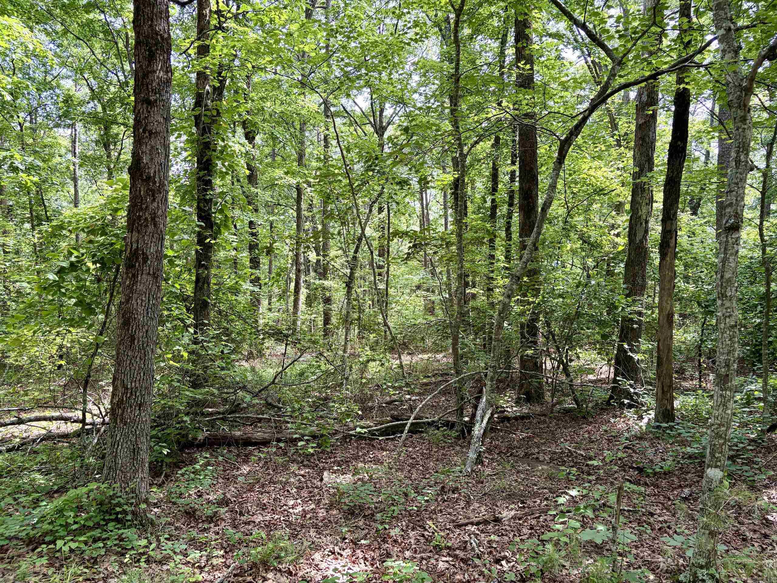 Not in Subdivision - Land