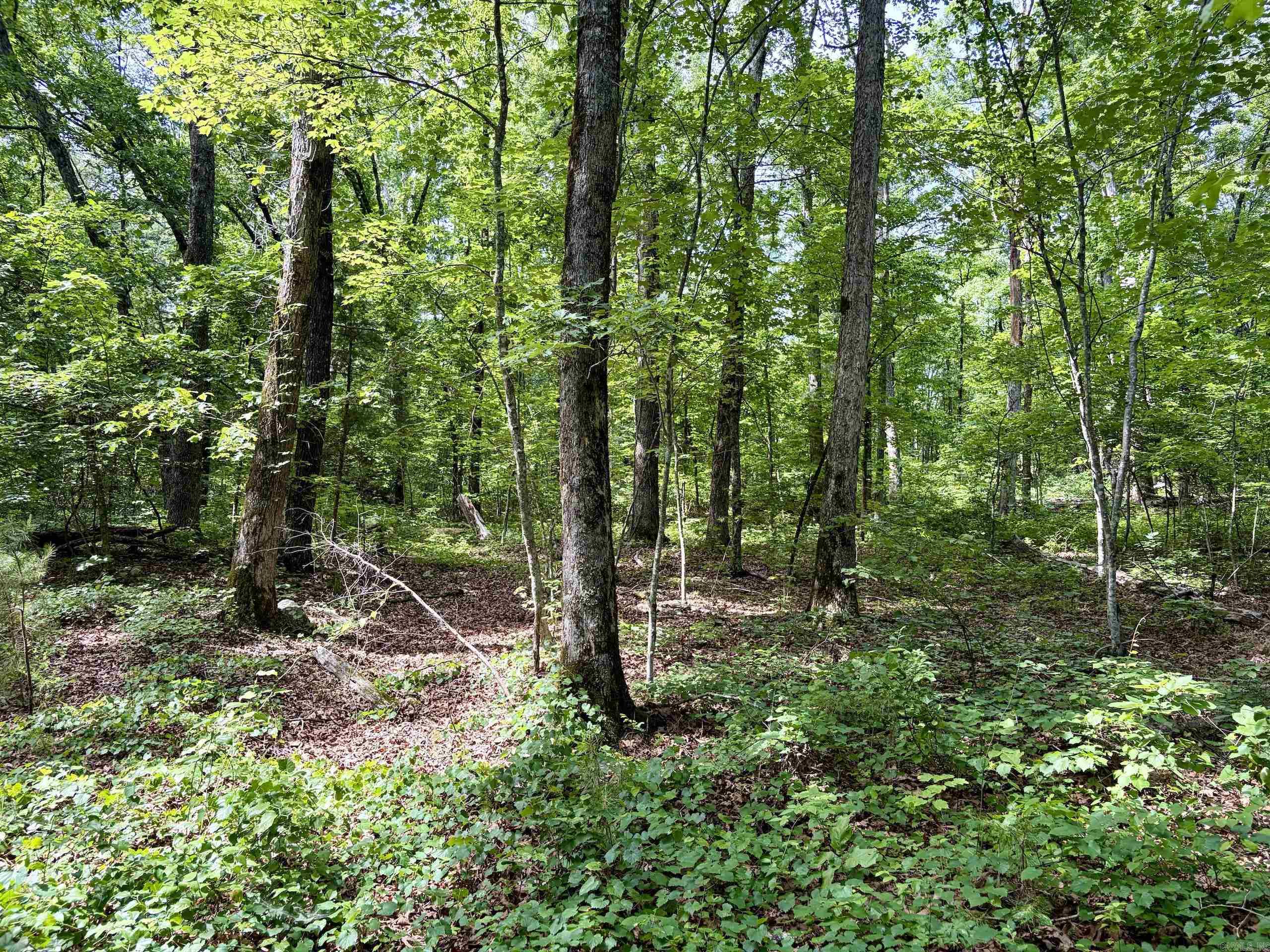 Not in Subdivision - Land