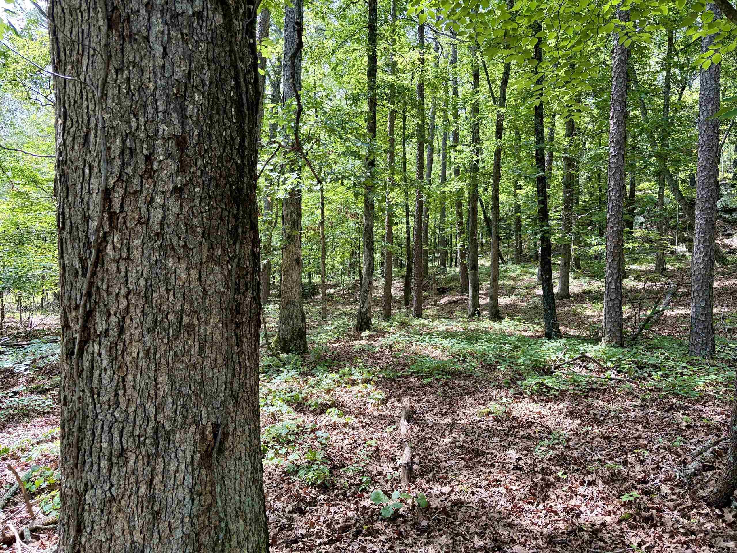 Not in Subdivision - Land