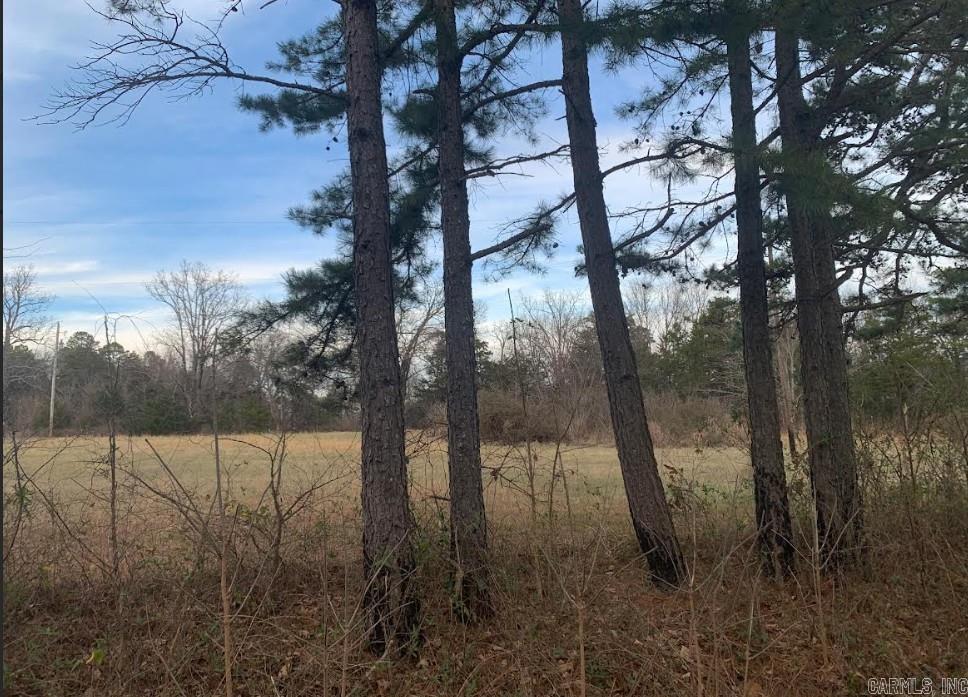 Vacant land with utilities at the road, ready to build on
