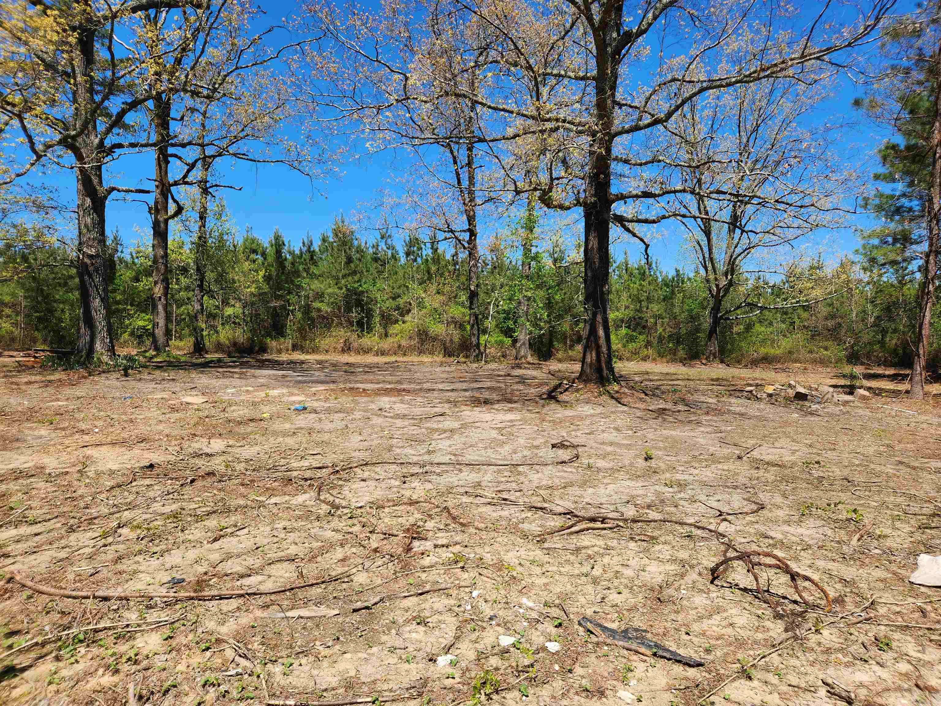 Forty acres of mixed hardwoods and Pine timber create a private, scenic setting with endless potential. An old homesite sits tucked among mature oak trees, crepe myrtles, irises, and daffodils — already cleared and waiting for your next home or cabin. The property has an existing deep well and electricity, giving you a head start on development. A cleared trail loops around the acreage, ideal for ATV riding, exploring, or nature walks. With abundant deer and turkey, this tract also offers excellent hunting opportunities. A rare combination of beauty, utility, and privacy-Don't miss this one!!