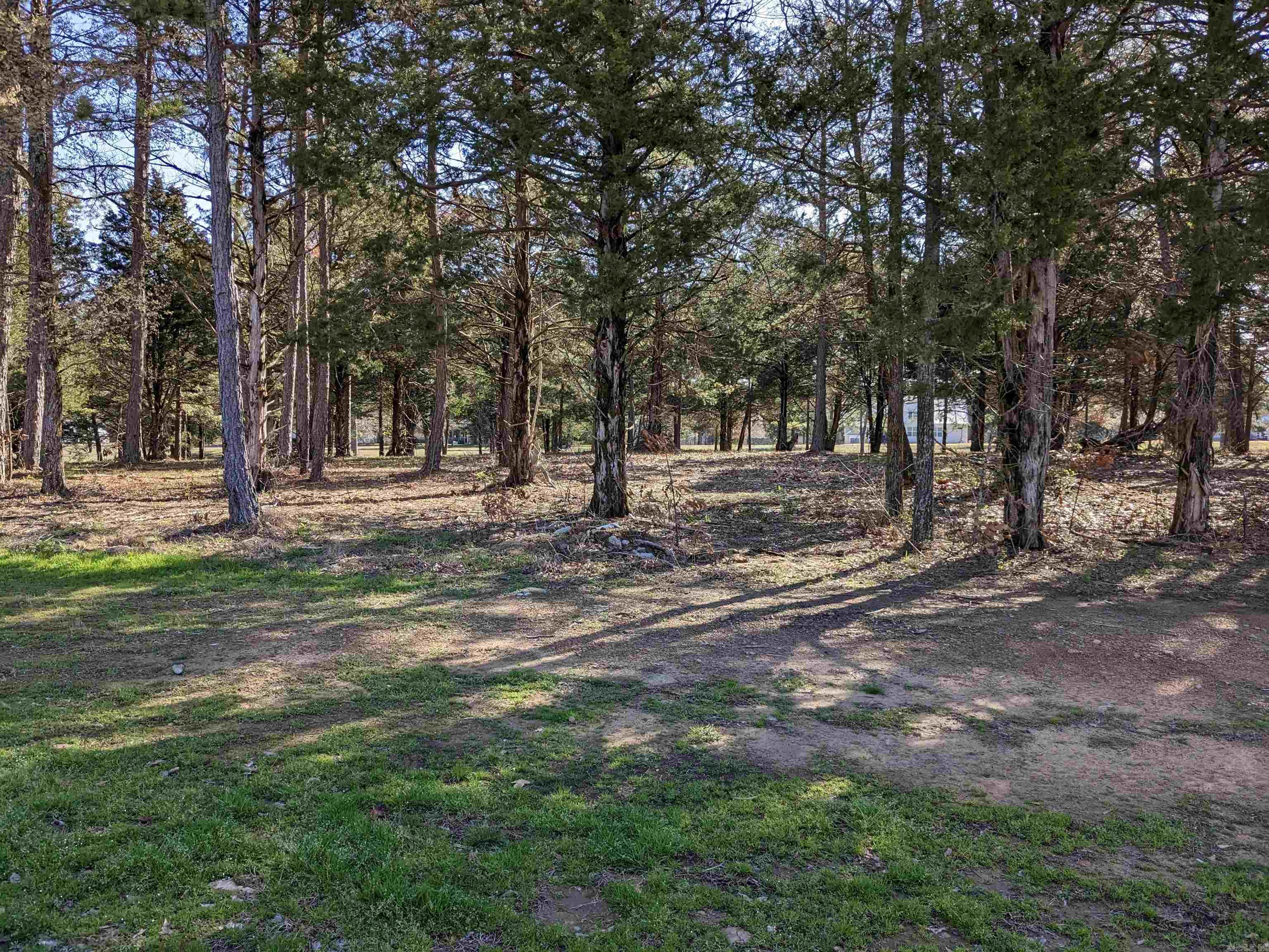 Beautiful flat lot in prestigious Brighton Pointe! One of the very finest subdivisions on Greers Ferry Lake offers buried utilities, sewer, natural gas, swimming pool, and a location that is unrivaled. Minutes to Dam Site Marina, restaurants and shopping. As good as it gets!
