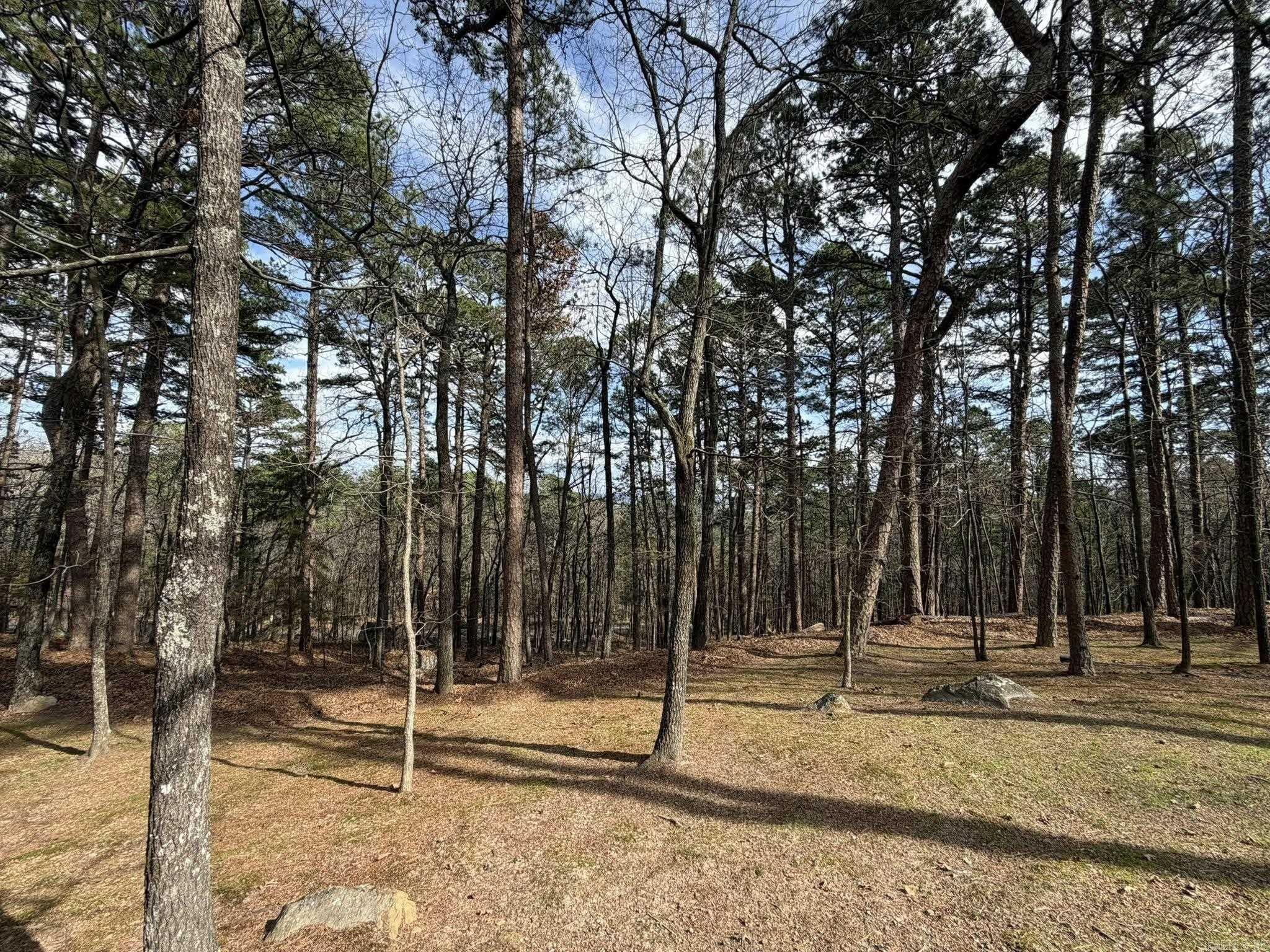 CHELSEA GLADES - Residential