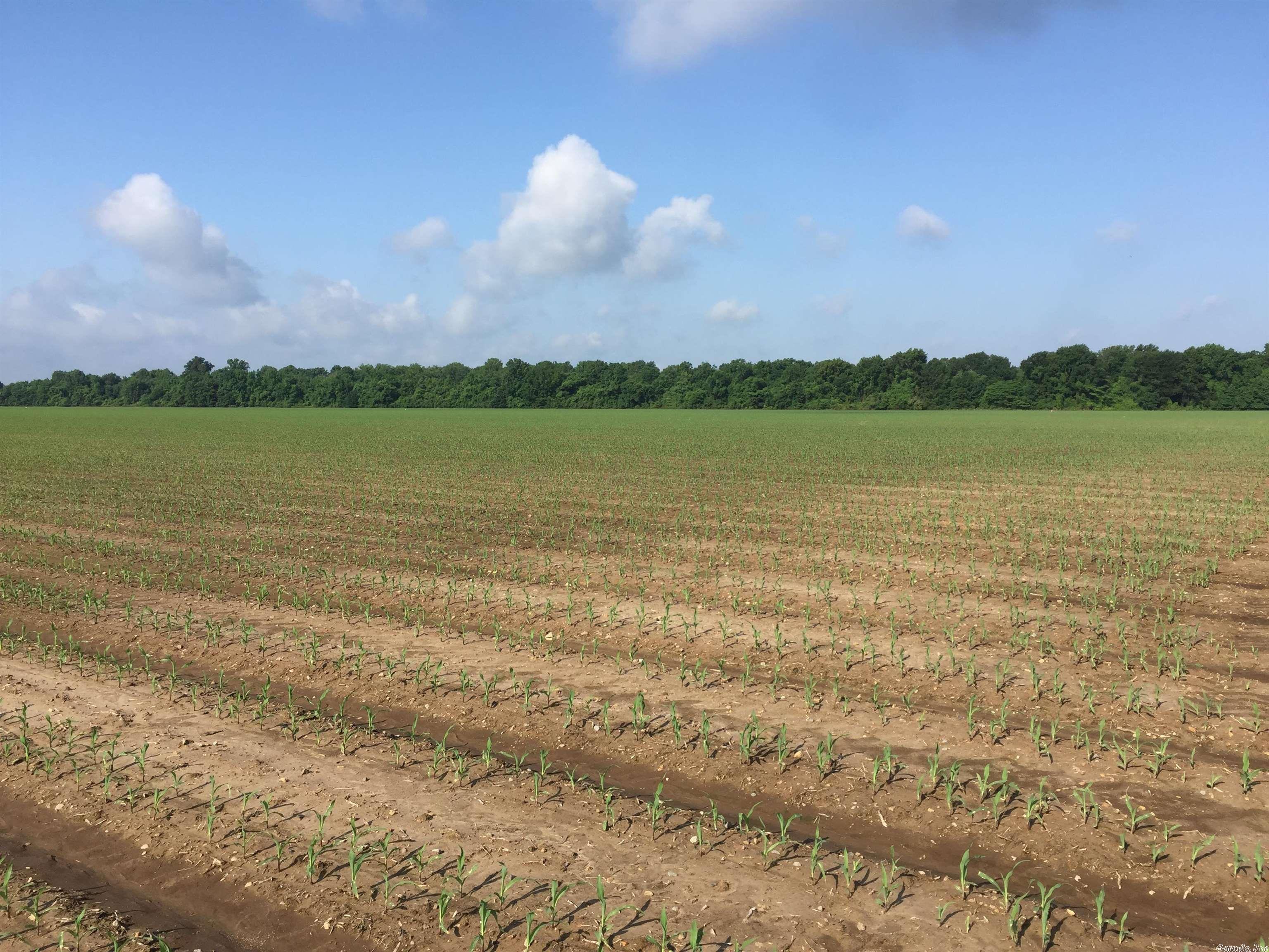Not in Subdivision - Farm