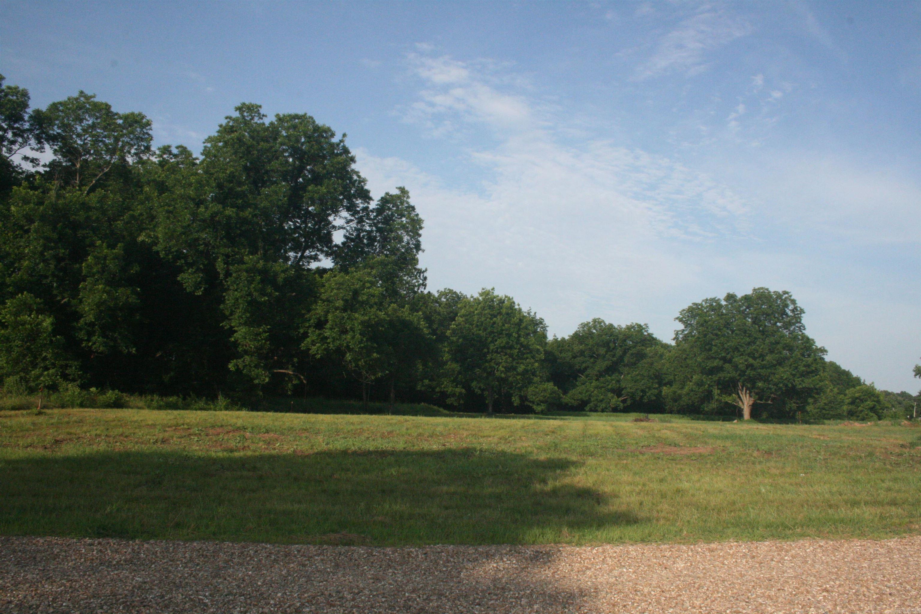 3 acres - Scott, AR. Approximately 20 minutes to downtown Little Rock. Mostly cleared and ready to build. Electric, water, and gas at lot on Plantation Point. Survey, Perc Test, and Bill of Assurance in Docs. Frontage on Craig Road and Plantation Point. Ideal for house & shop. Approximately $750,000 custom home under construction. Approximately $500,000 custom home under construction on adjacent lot. "T" post mark lot boundaries.