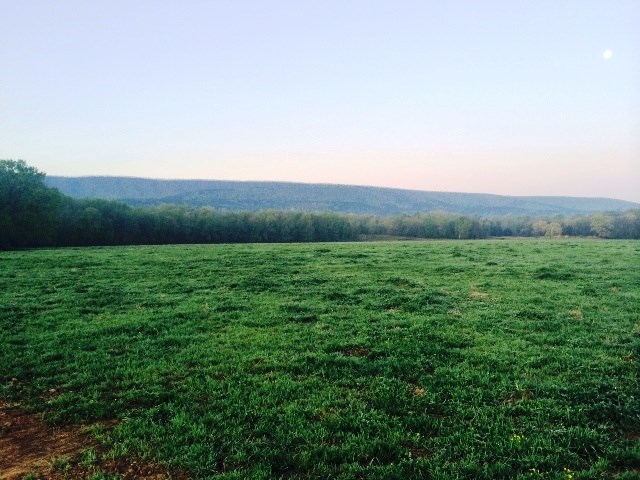 19-4S-24W - Farm