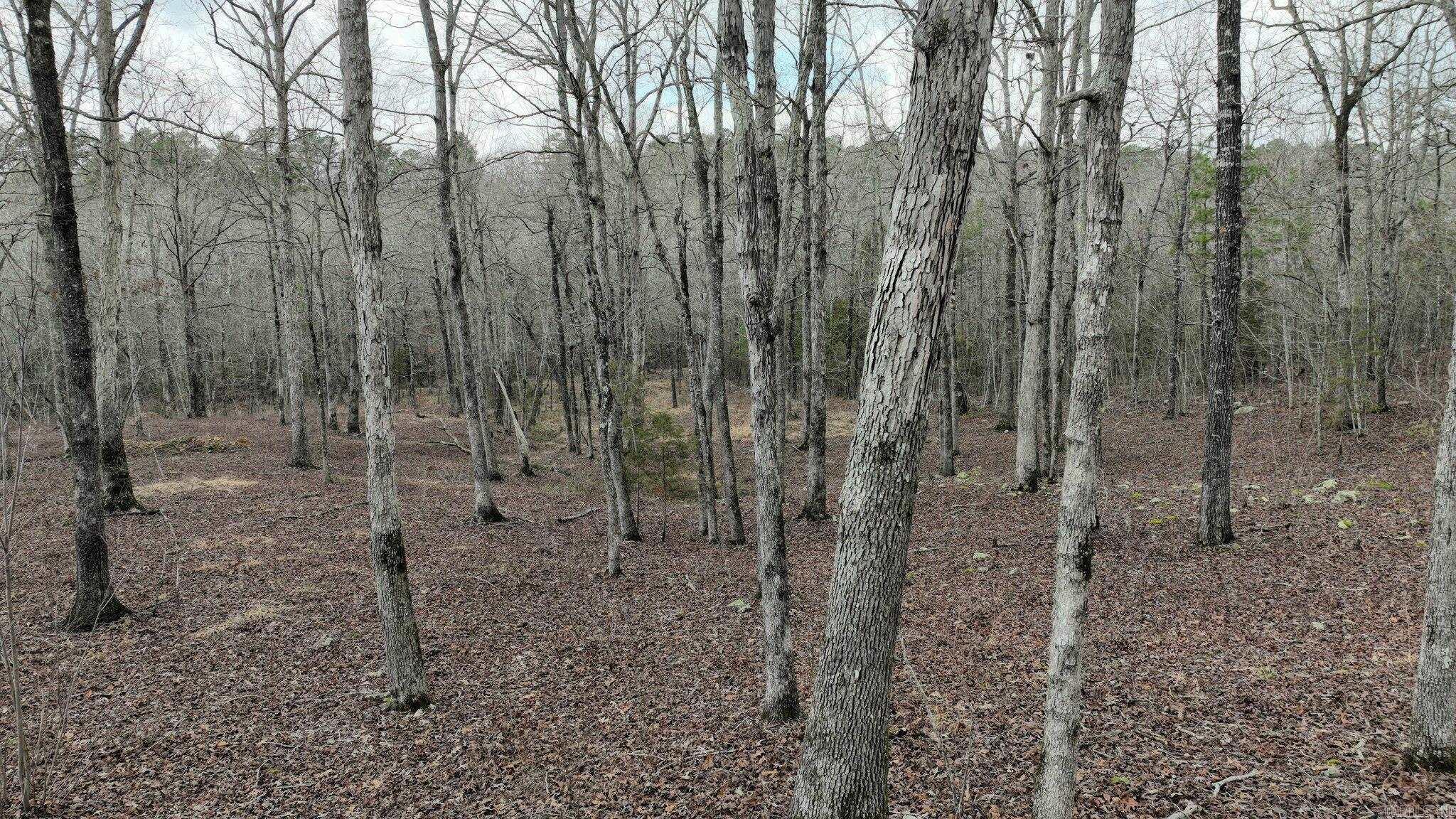 Wooded 5.14-acre tract with creek and convenient access to town. Located in a rural subdivision, the property offers a wooded setting and adjoins a paved lane off Hwy 71 for easy trips into Mena. Underbrush has been mulched in areas, highlighting mature trees and creating a potential homesite. A small creek and natural spring reportedly flow most of the year, adding a notable water feature. Rural water and electric are said to be available at the road, providing utility access for future improvements, subject to verification. Light building restrictions apply and do not allow mobile homes.