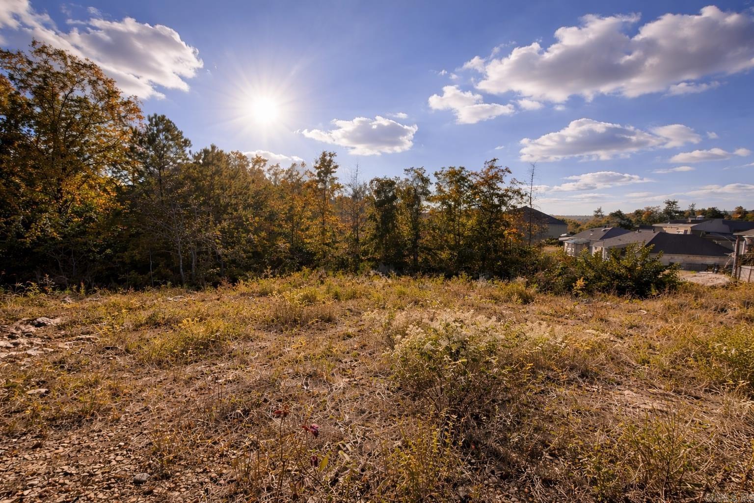 LOCHRIDGE ESTATES - Land