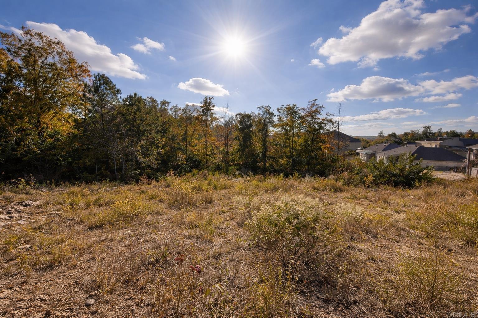 LOCHRIDGE ESTATES - Land
