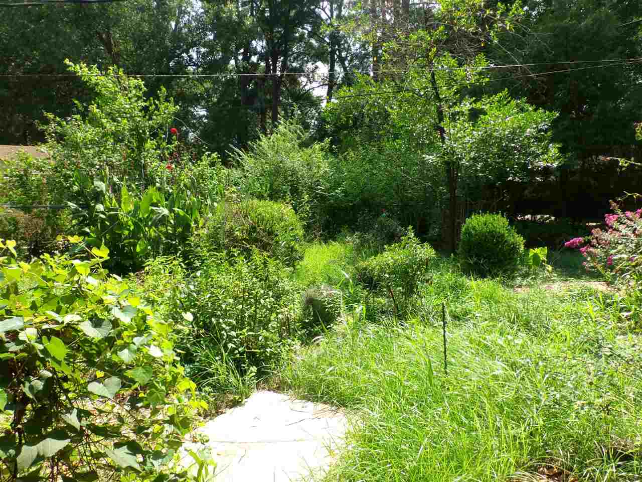 Sherwood Forest - Residential