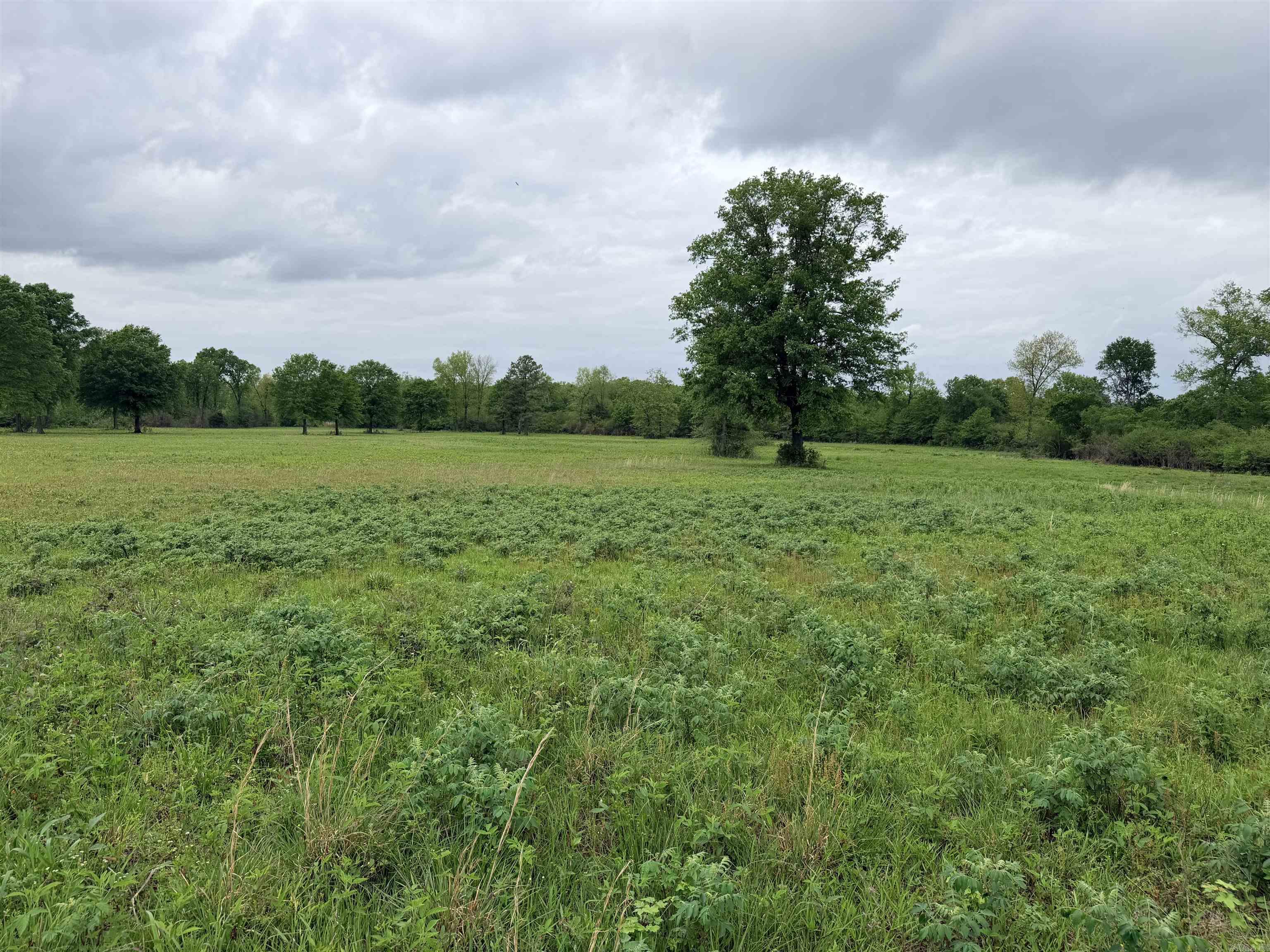 Check out this beautiful 4 acres in Sherwood with views most dream of.  Open pasture ground that would make a beautiful place to call home! Outside the city limits with water and electric at the road makes the building process that much easier.  Property is mostly flat and slopes towards the rear, where a creek borders the backside, with lots of wildlife to enjoy...  Bring the farm animals, if you choose, and your house plans to build that perfect place to call home!
