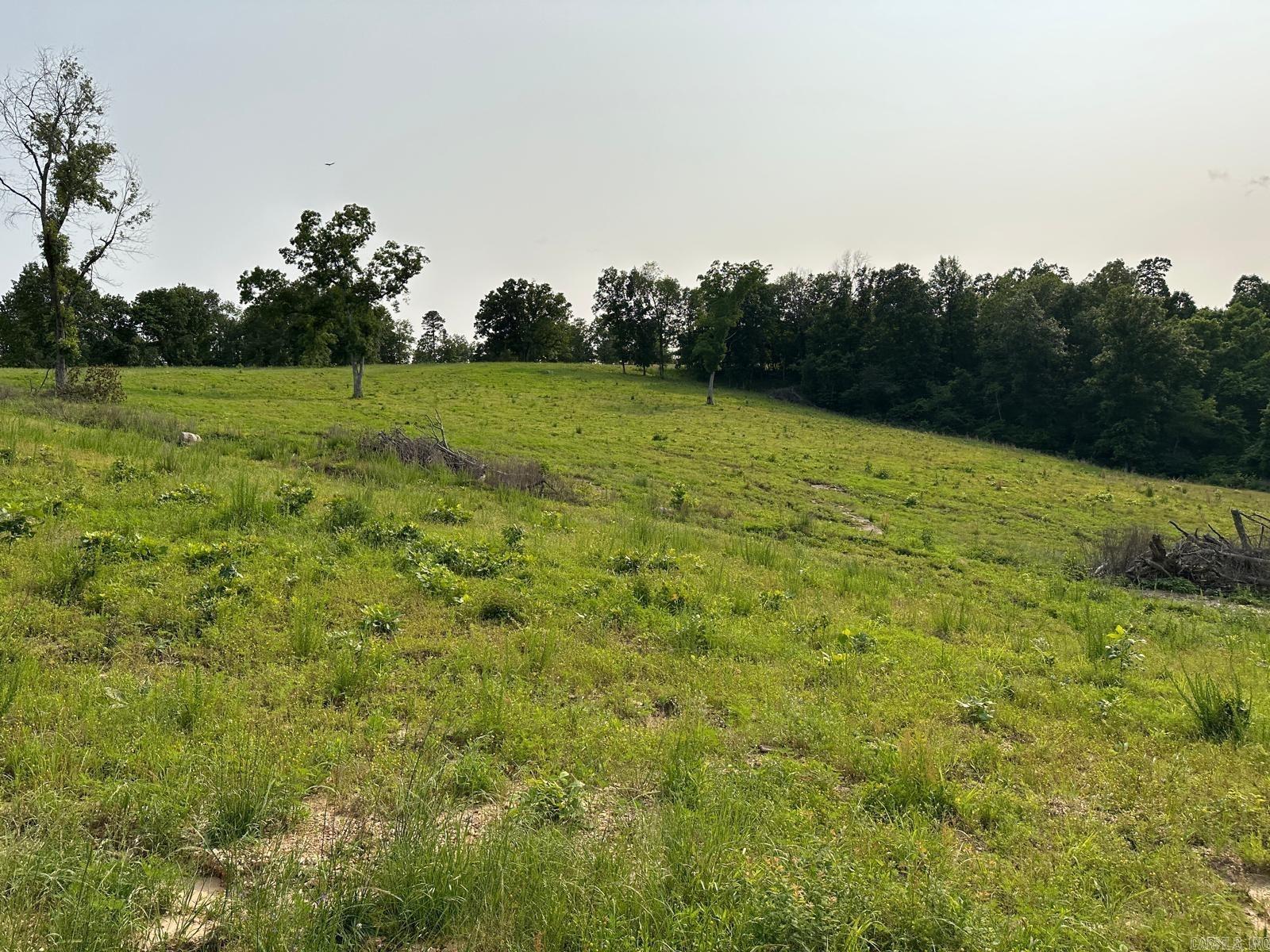 Eighty acres of rolling Ozarks pasture with year-round water, long-range views, and multiple home sites — this is the kind of land that's genuinelyhard to find at any price point, and harder still to find all in one parcel. Located off a quiet gravel county road in Marion County, Arkansas, this 80-acre m/l tract delivers the full package for serious land buyers: open grazing pasture, mature shade, natural water sources, and the kind of privacy that simply doesn't exist on smaller tracts. The lay of the land has been doing the work for decades — the topography, grass, and creek access are already in place for whoever comes next. For ranchers and livestock operators, this parcel is move-in ready. The grazing acreage, water distribution, and natural topography mean you're not starting from scratch — you're stepping into land that's already set up to work. Cattle operations, horse training facilities, hobby farms, and small-scale agricultural operations all fit naturally here.
