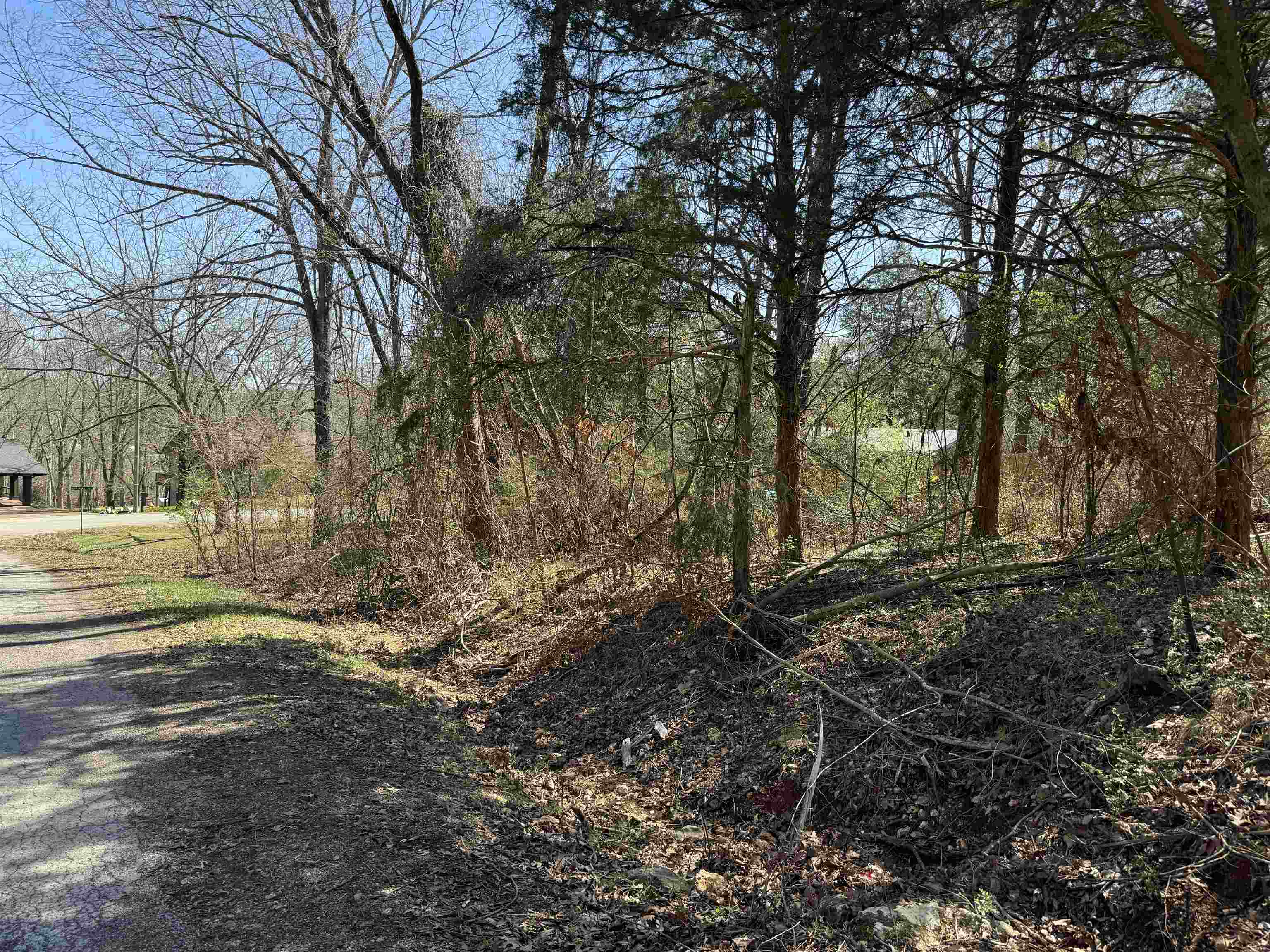 Fairway - Land