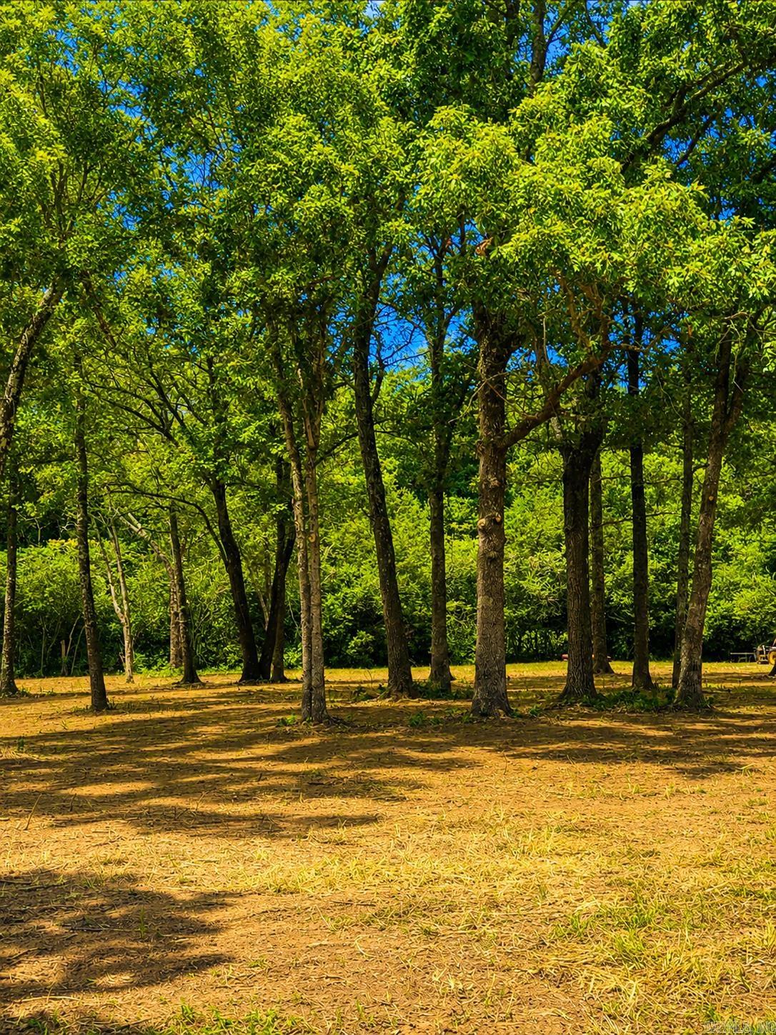 Enjoy the best of both worlds with this beautiful 3.97-acre tract tucked away on a quiet street and just minutes from Greers Ferry Lake. Offering plenty of space for your dream home, shop or garden, this property combines privacy, convenience, and natural beauty. Don't miss this opportunity to create your own slice of Arkansas paradise.