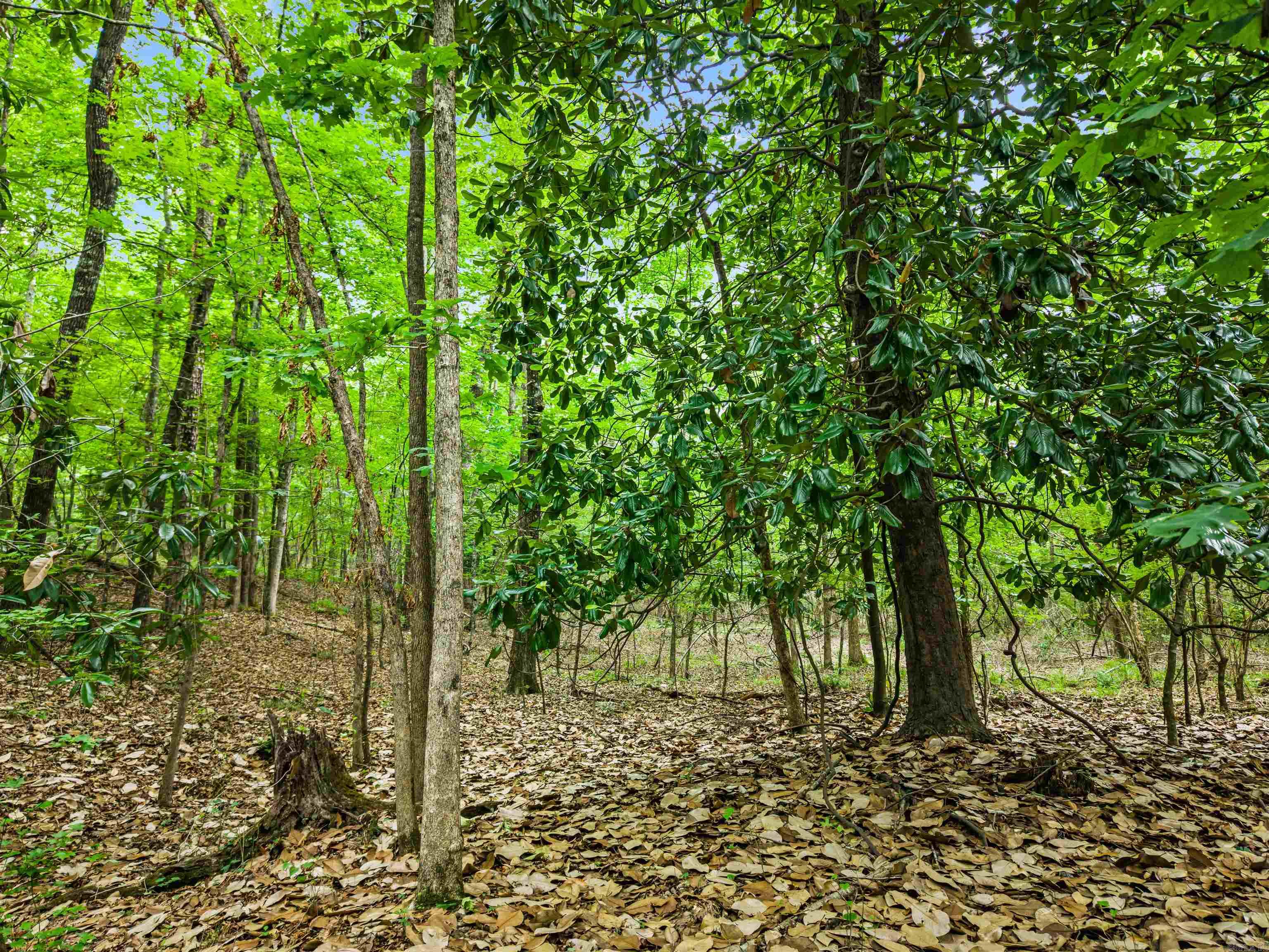 Hot Springs Unplatted - Land