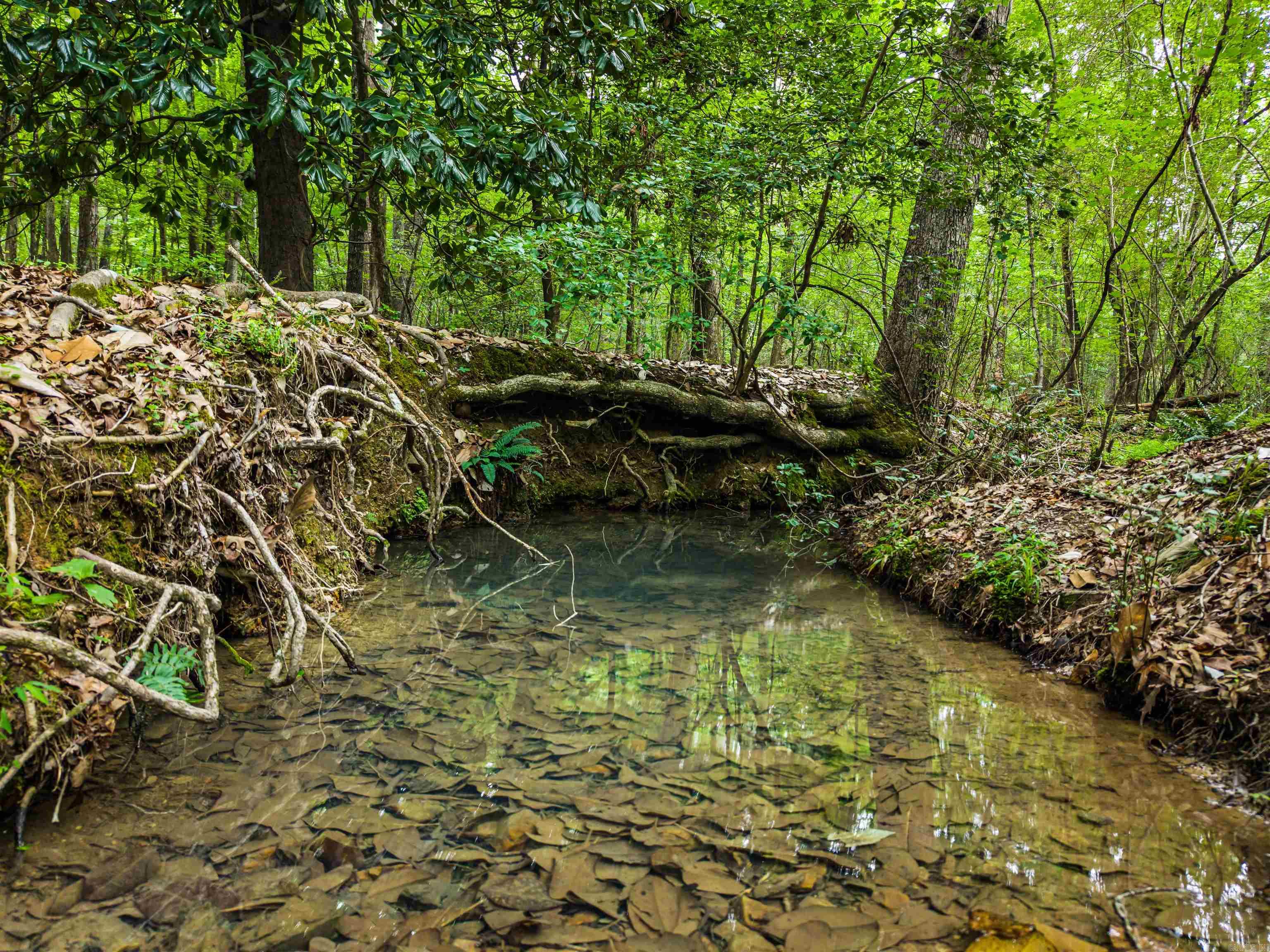 Hot Springs Unplatted - Land
