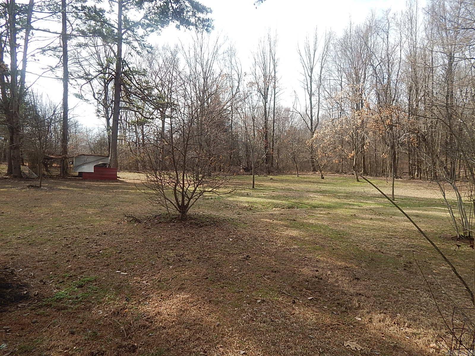 Holifield - Pitcher - Land