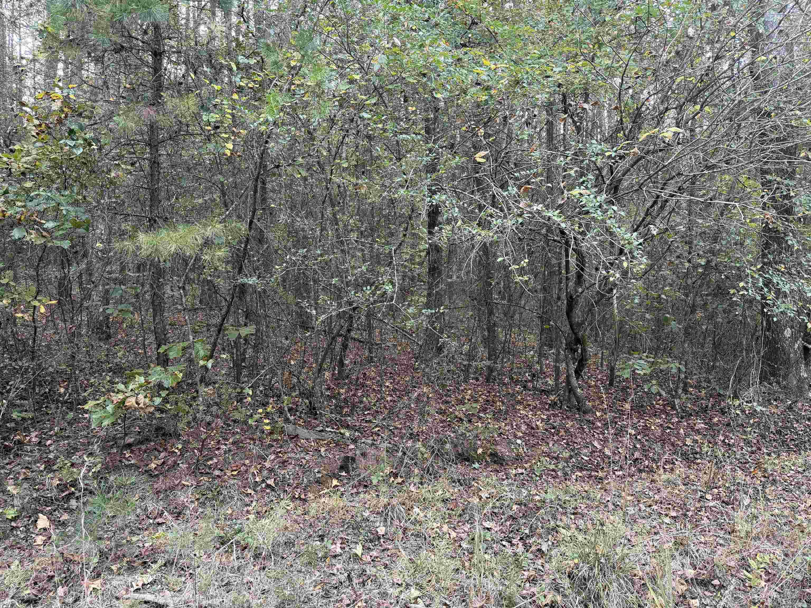 BELL FOLEY ESTATES - Land
