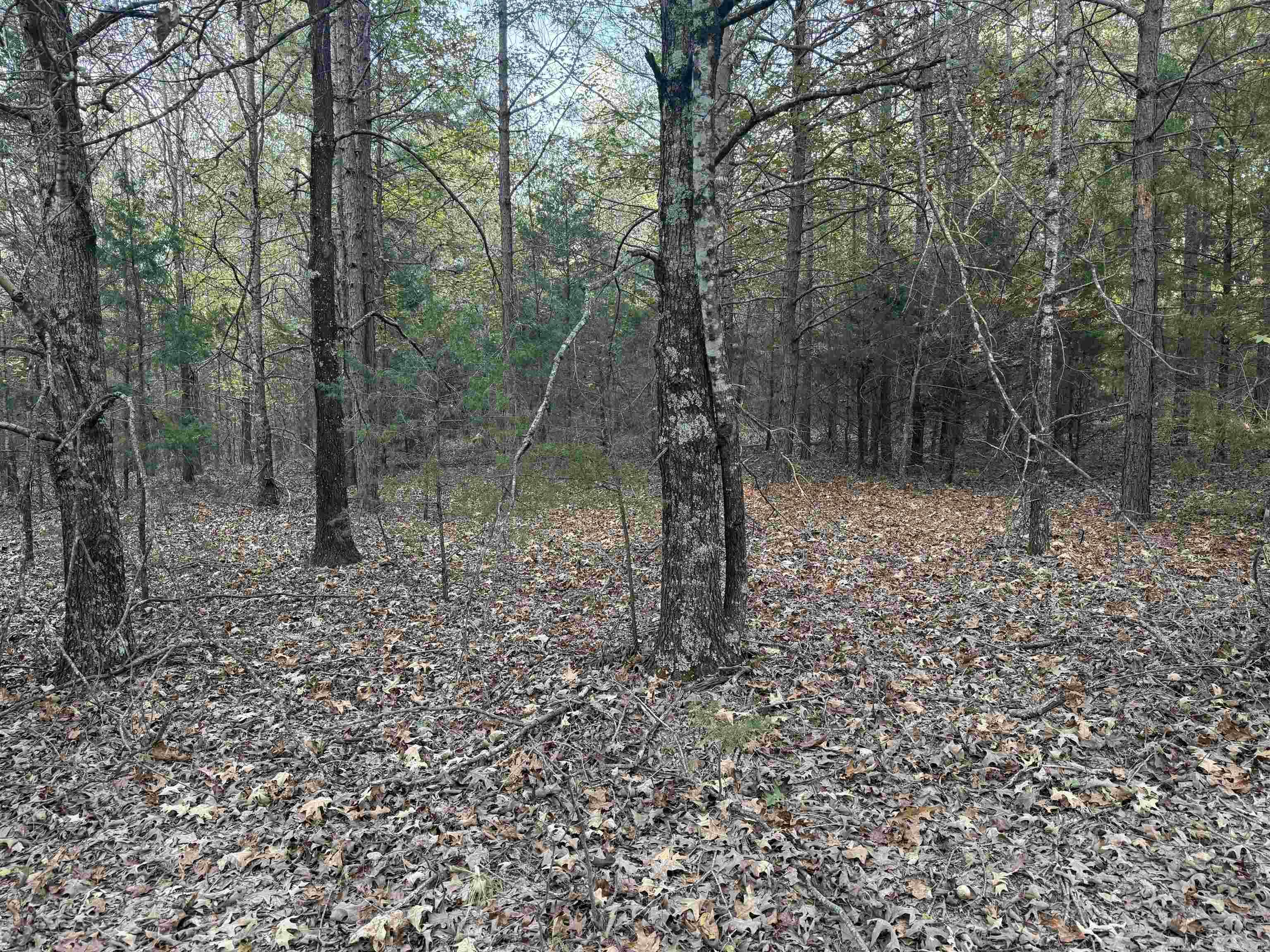 BELL FOLEY ESTATES - Land