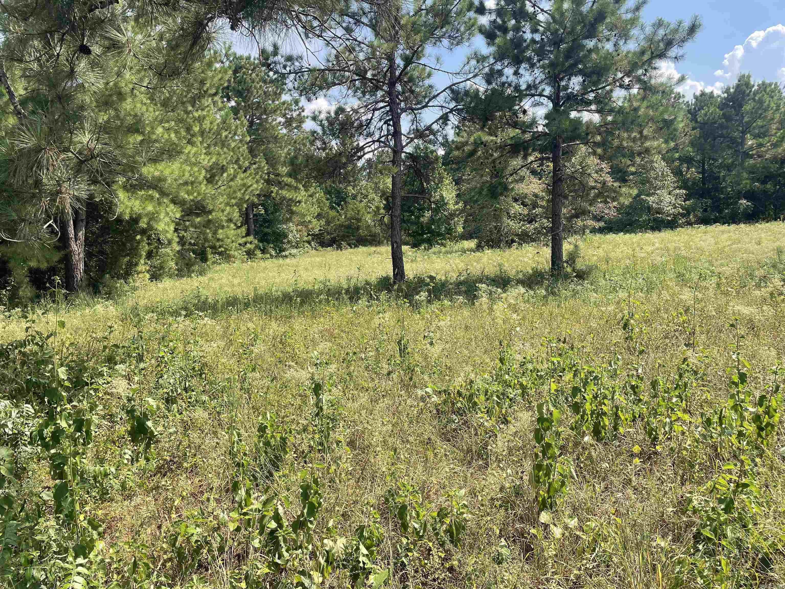 BELL FOLEY ESTATES - Land