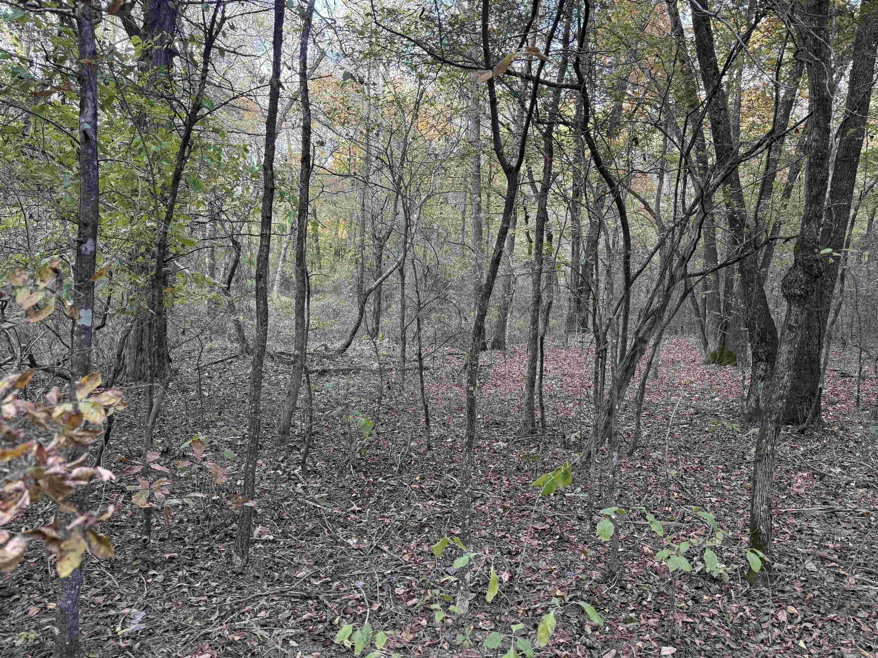 BELL FOLEY ESTATES - Land