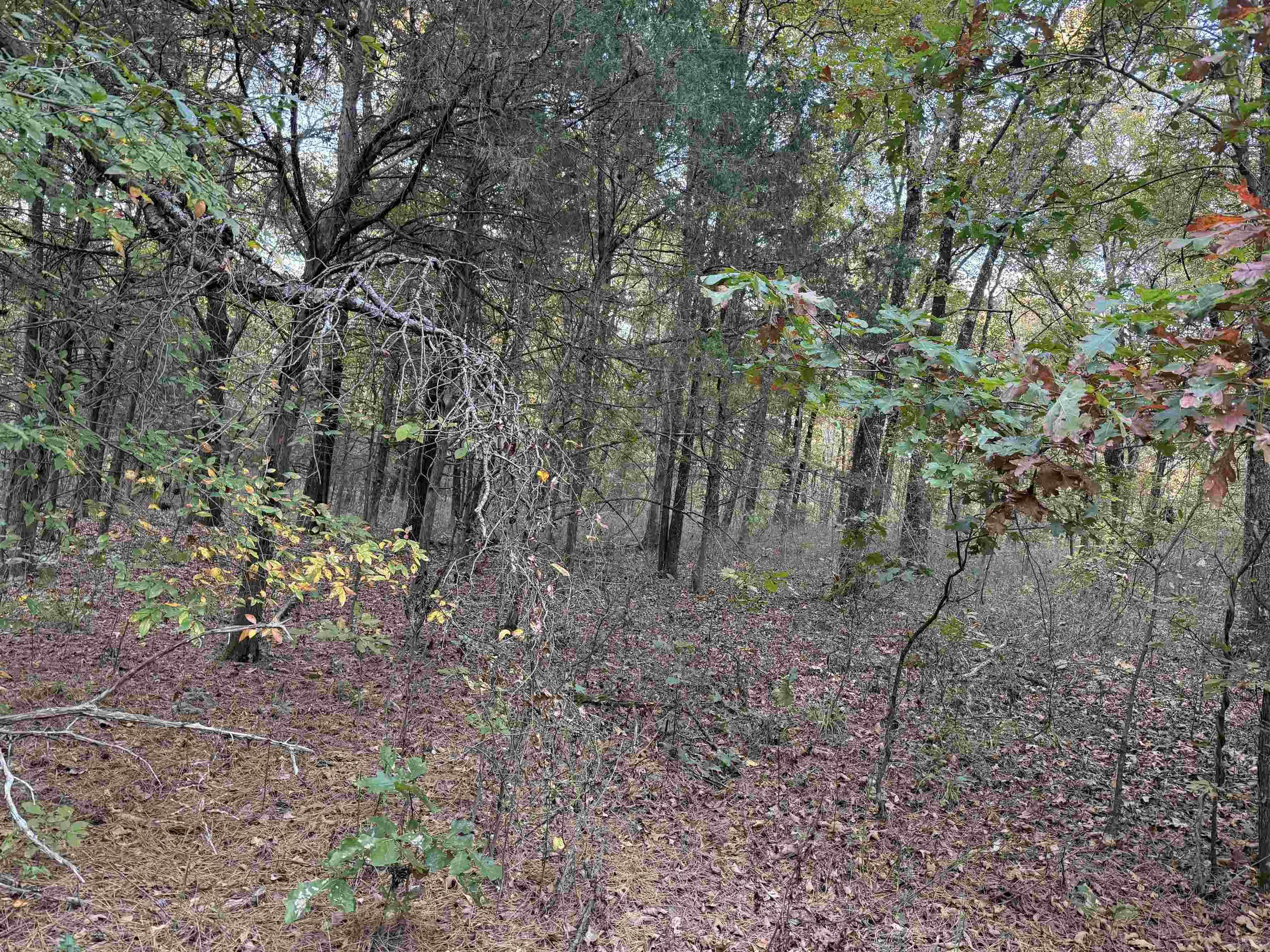 BELL FOLEY ESTATES - Land
