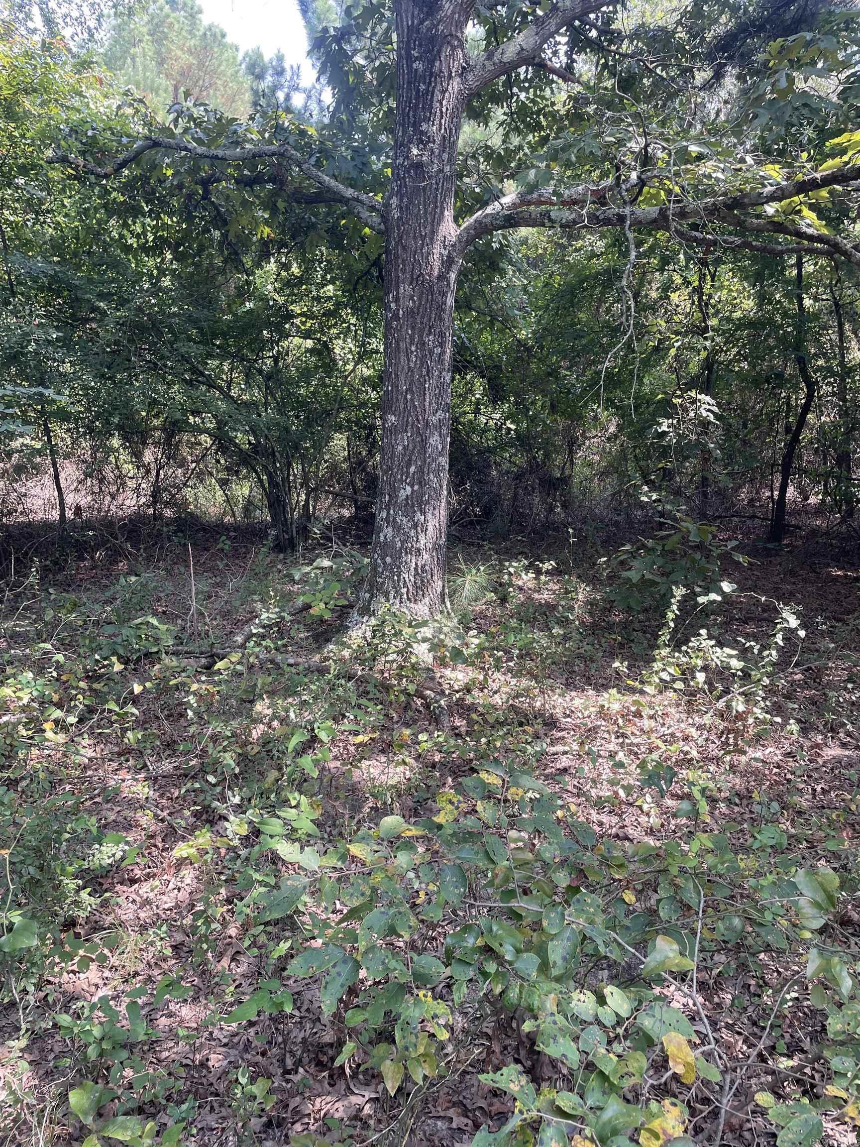 BELL FOLEY ESTATES - Land