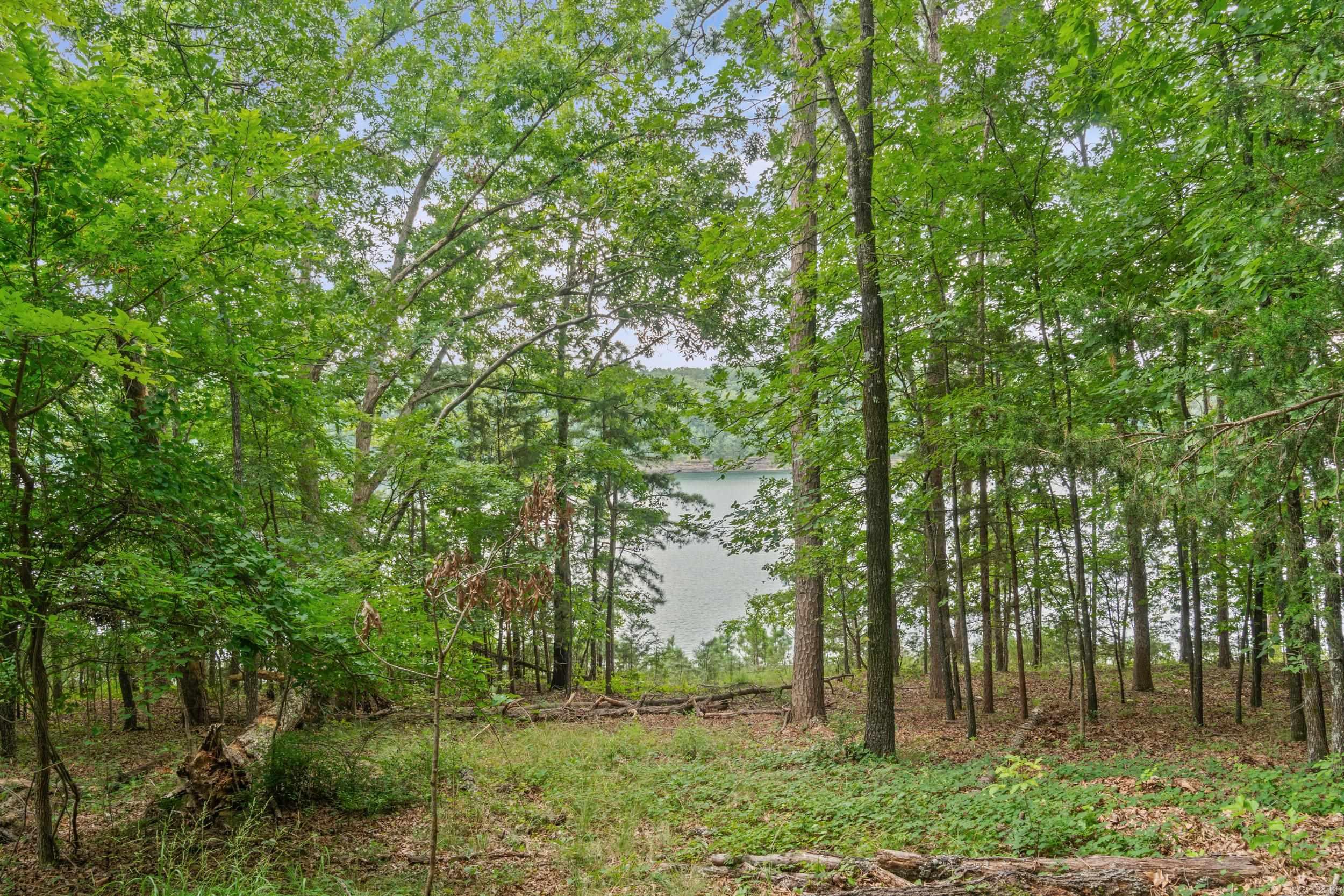 BELMONT ACRES - LAKE - Residential