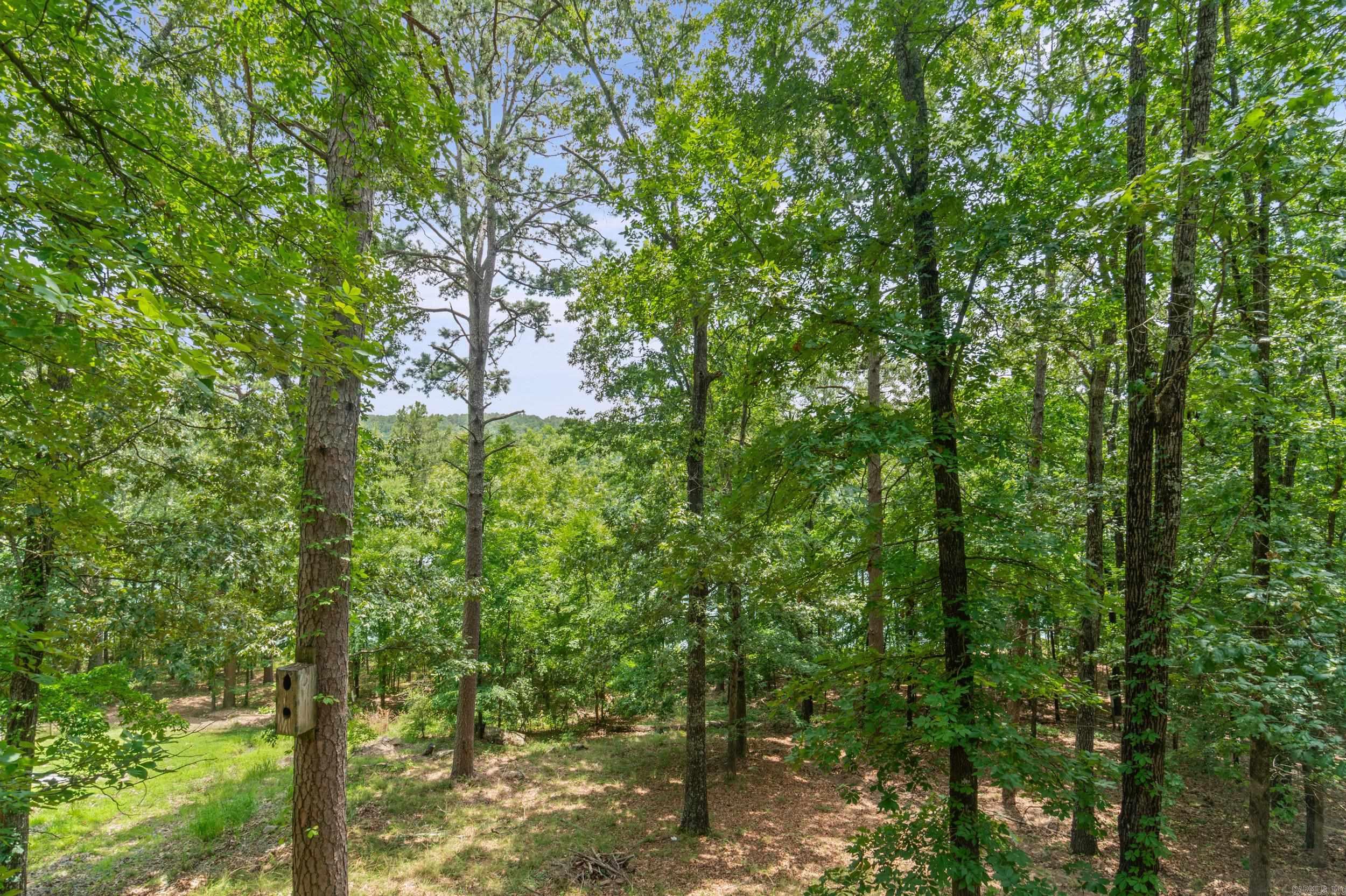 BELMONT ACRES - LAKE - Residential