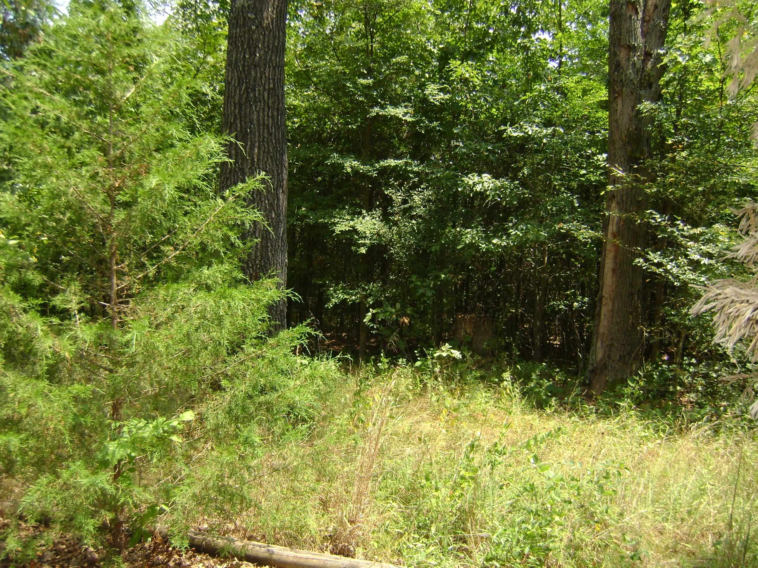 Golf Park 2 - Land