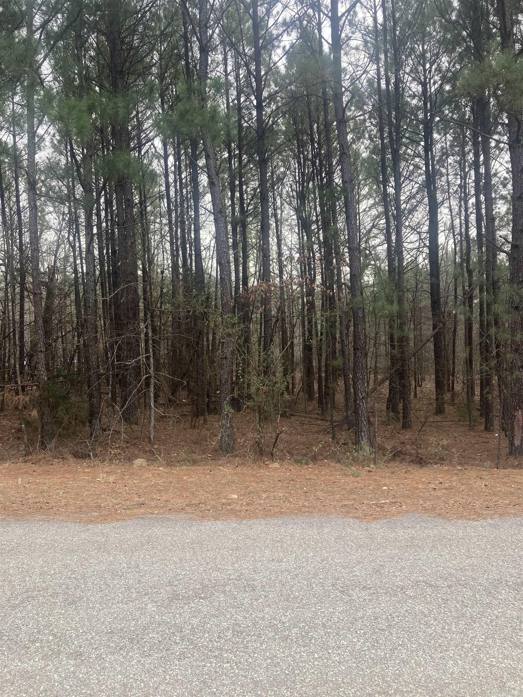 You know what they say about land...they're not making any more of it. Here's you chance to own a nice piece of property in North Little Rock. Property sits on a ridge and would make an excellent place to build your dream home and enjoy the amazing view. It's also very close to the back side of Camp Robinson so hunting should be good too. Don't miss this opportunity. Call now to schedule a showing!