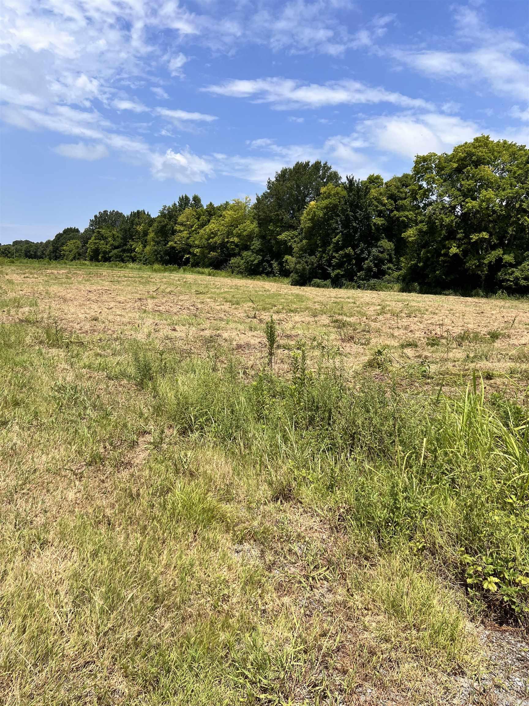 Beautiful 1.98-acre property offering plenty of open space and possibilities! This cleared and mostly level acreage provides a great opportunity to build your dream home or create a private homesite in the peaceful Scott area. Conveniently located with easy access to I-440, Little Rock, and surrounding communities. Enjoy country living while remaining close to city conveniences. Utilities are believed to be available nearby; buyer to verify availability, zoning, restrictions, and suitability for intended use.
