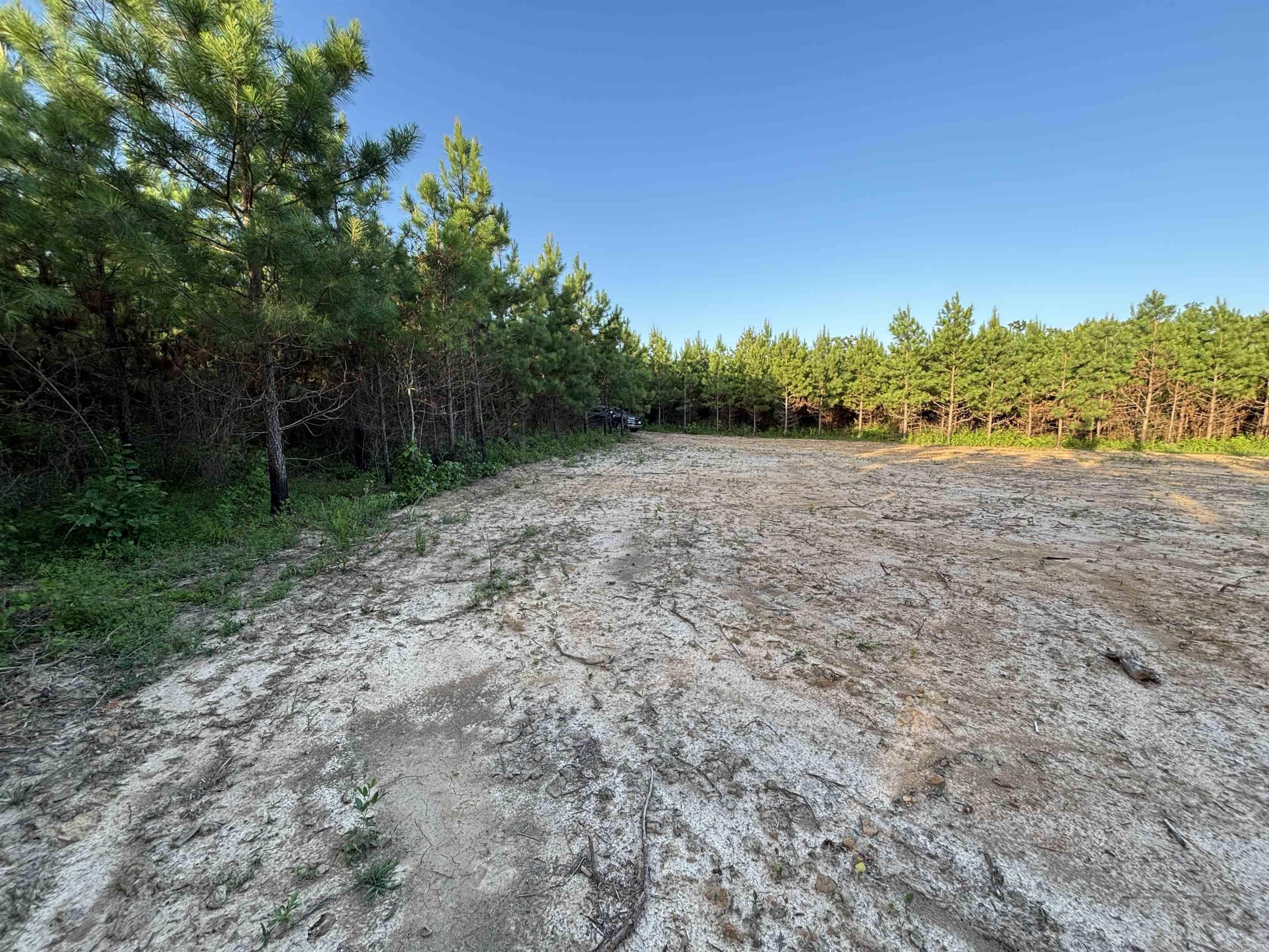 Lake Avalon Estates - Land