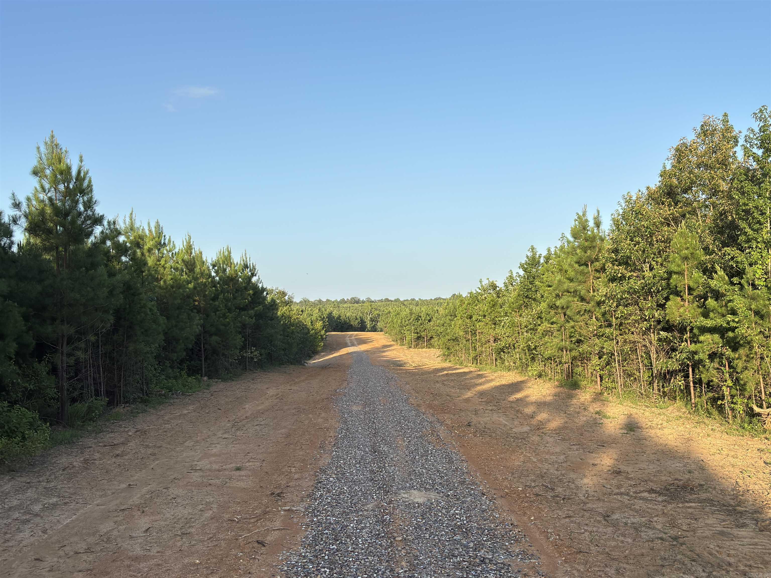Lake Avalon Estates - Land