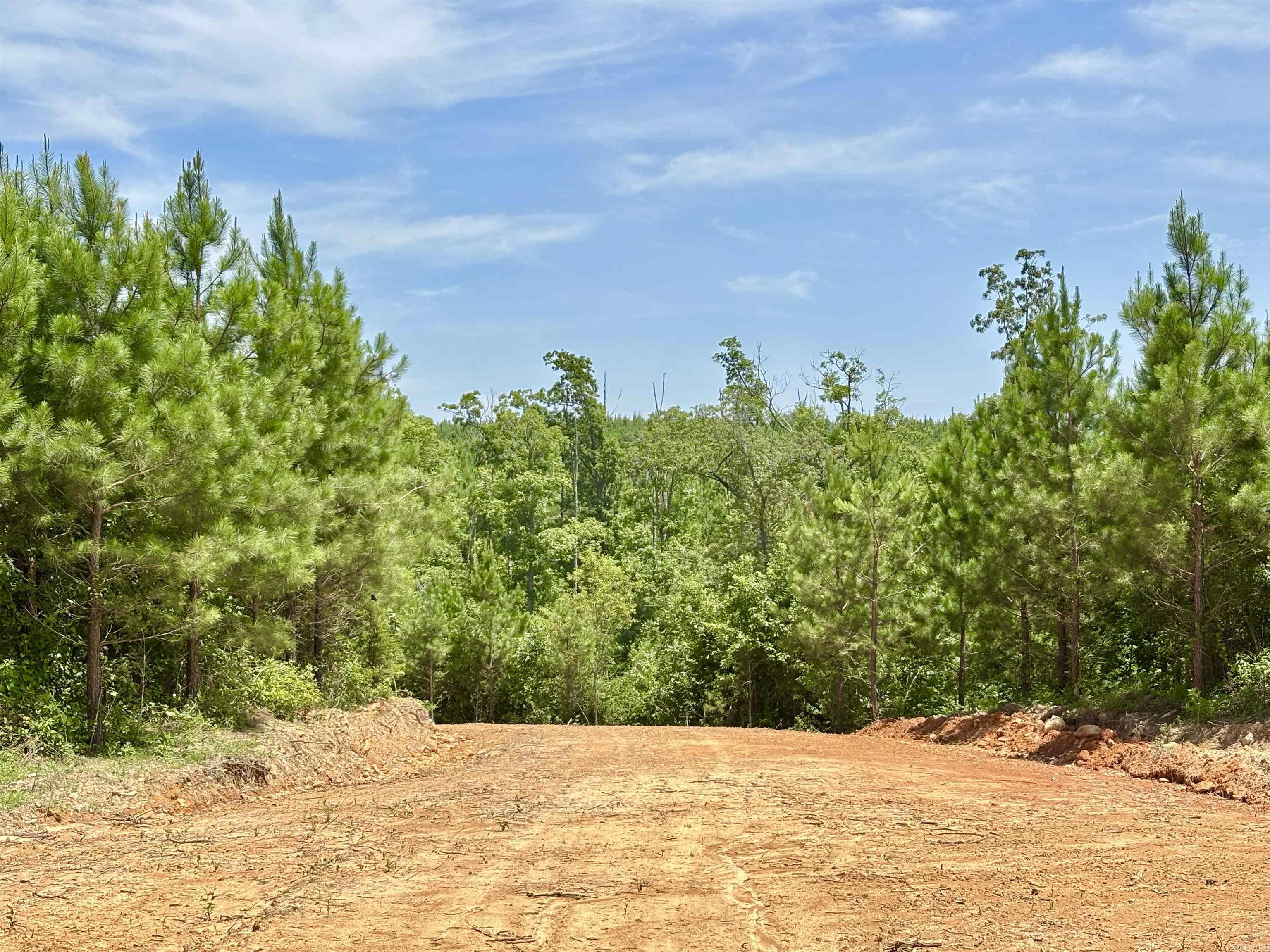 Lake Avalon Estates - Land