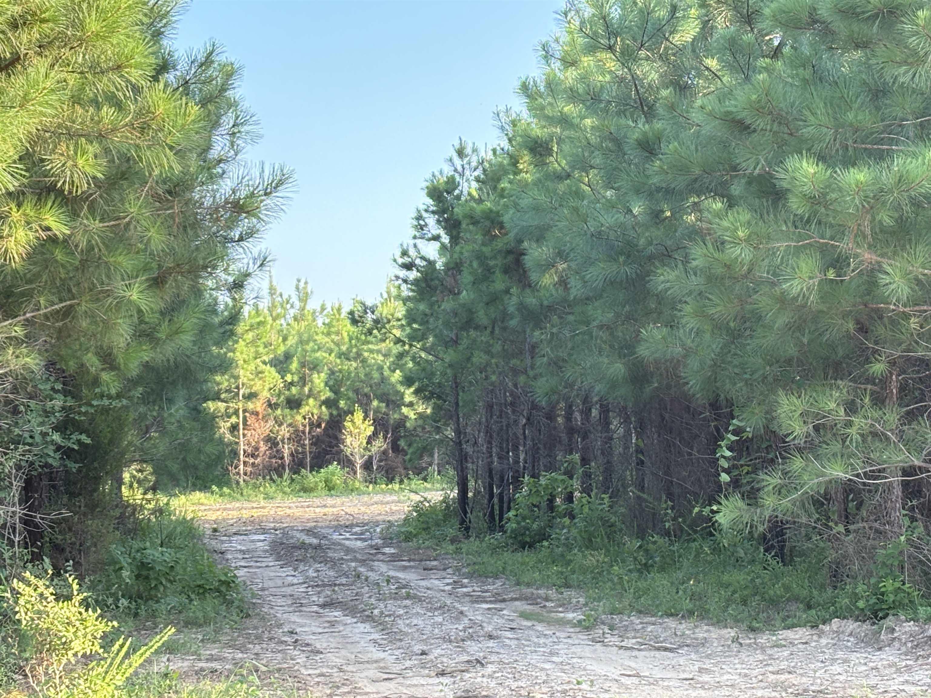 Lake Avalon Estates - Land