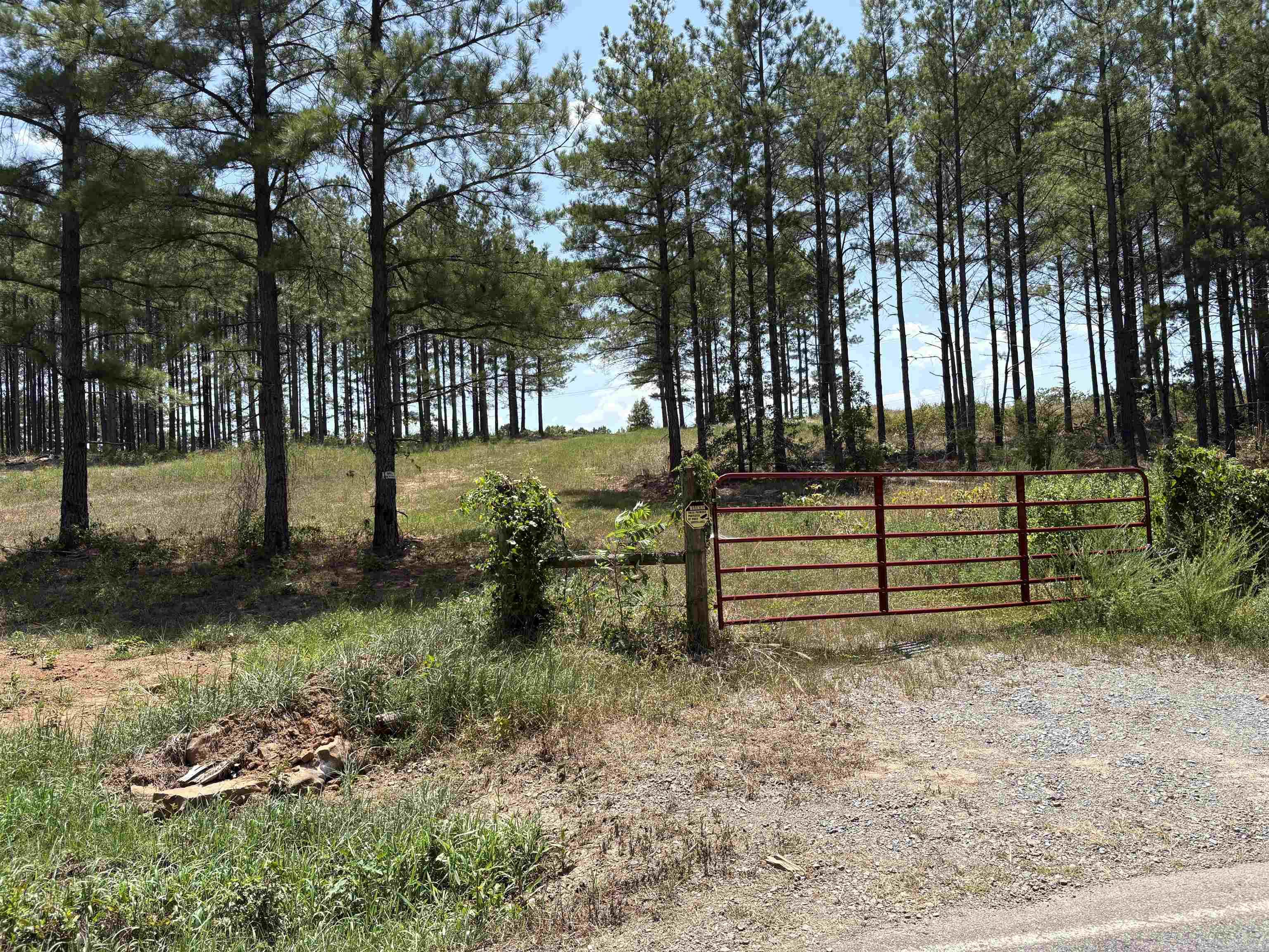 Beautiful building lot in Conway Public School System. Mostly Cleared.  1200 square foot min.  NO Mobiles