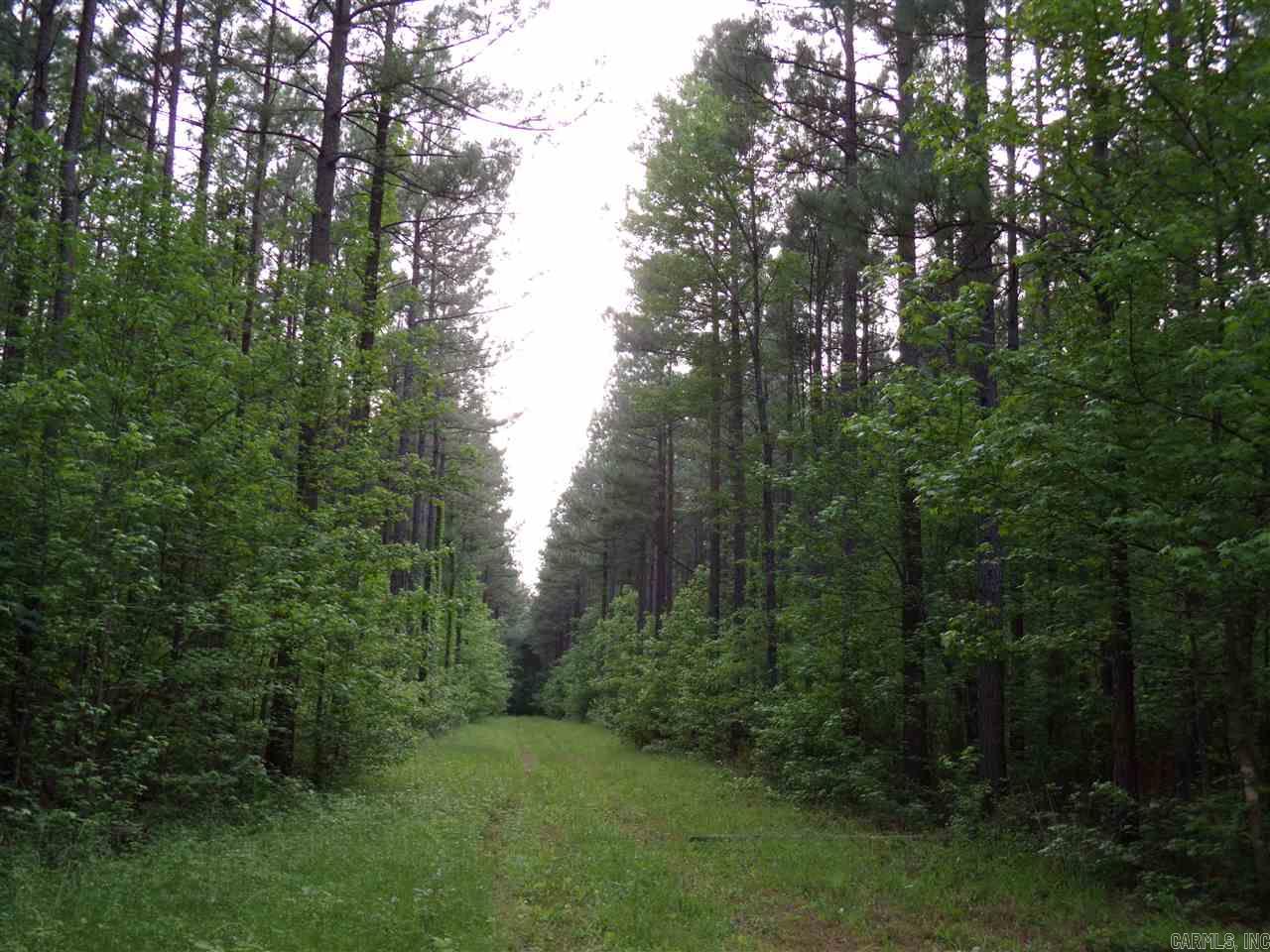 Perryville Original - Land