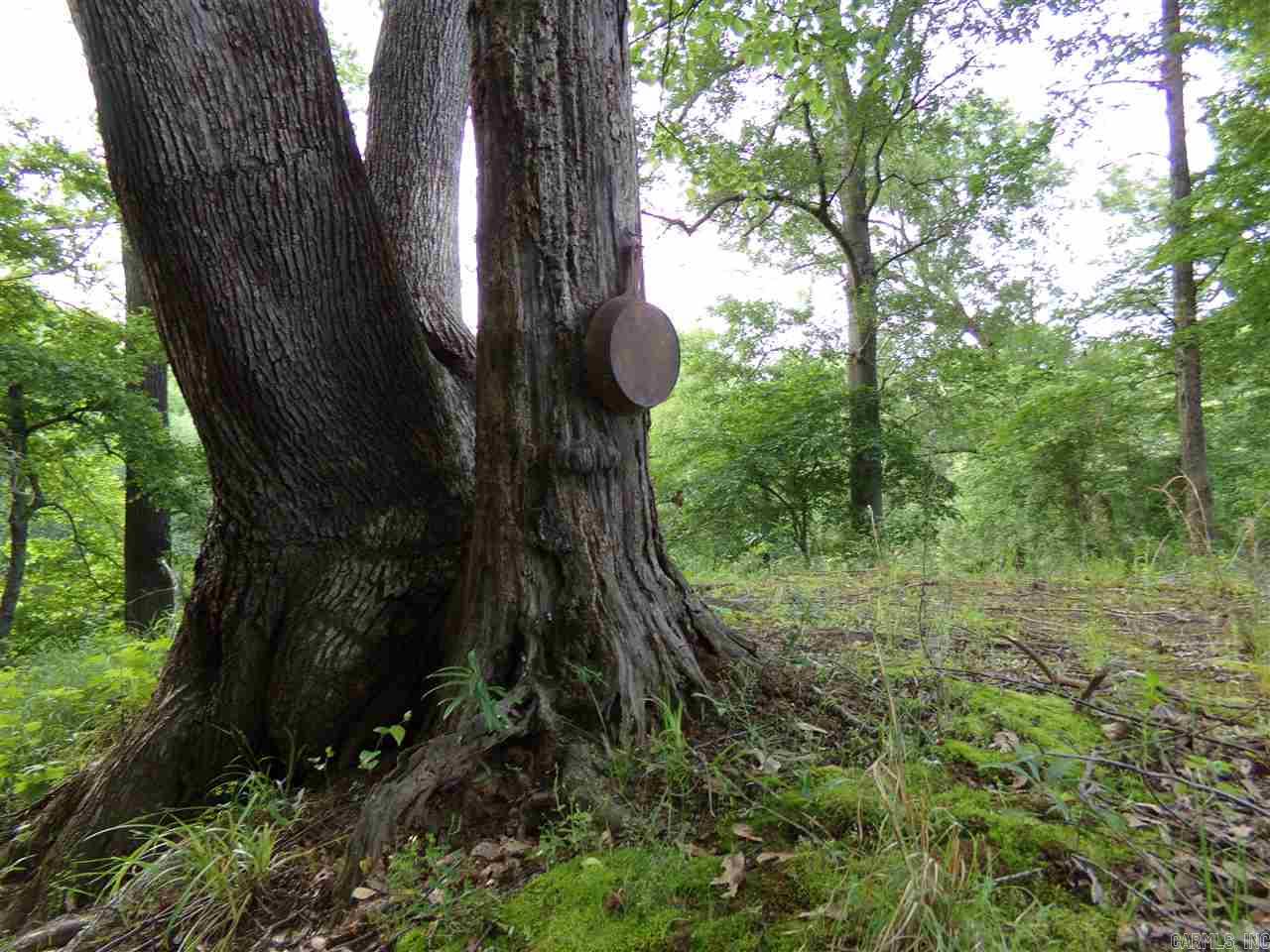 Perryville Original - Land
