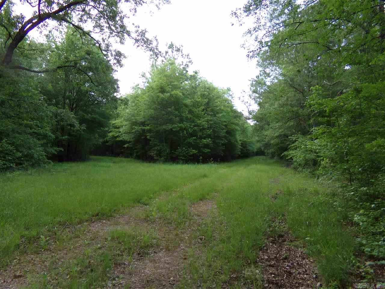 Perryville Original - Land