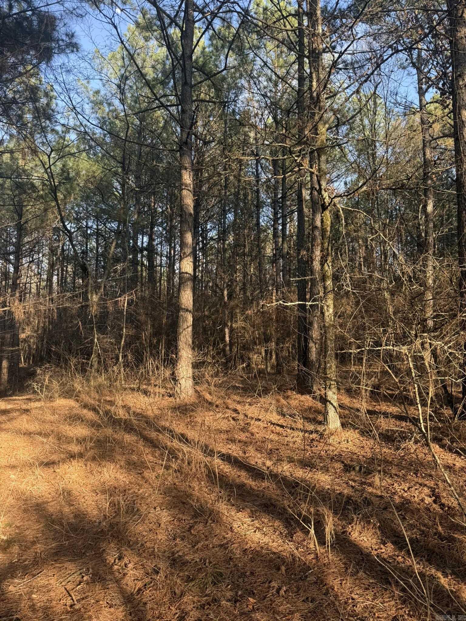 OLD FACTORY SITE ESTATES - Land
