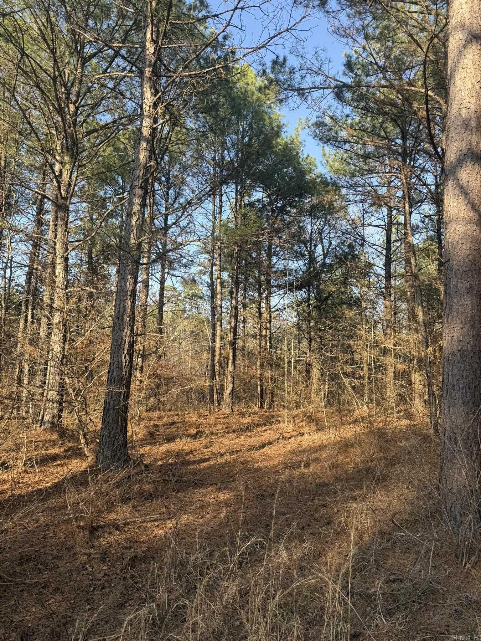 OLD FACTORY SITE ESTATES - Land