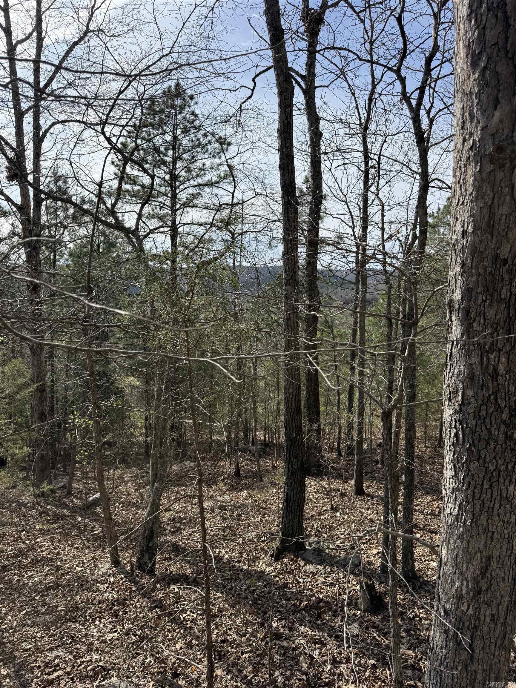 RUDDLE HEIGHTS ADD - Land