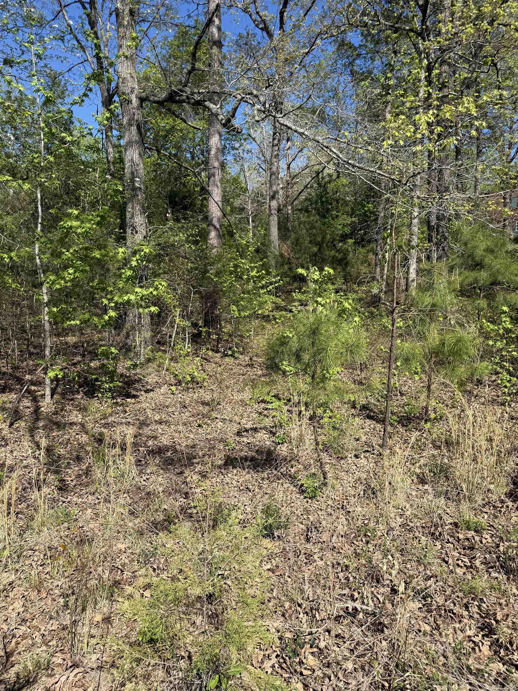 RUDDLE HEIGHTS ADD - Land