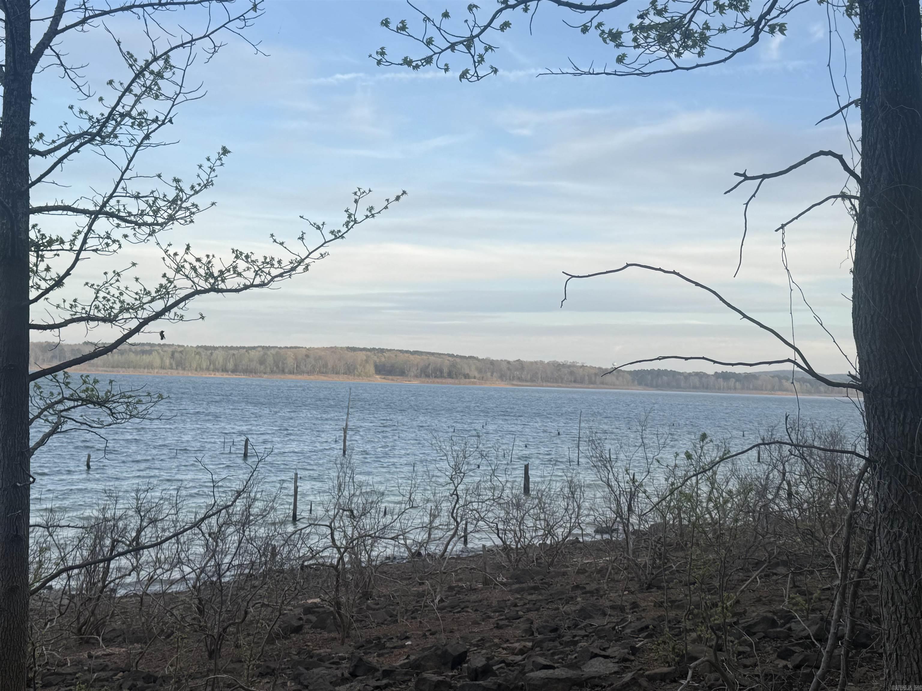 Two premium lakefront lots in the desirable Tannenbaum Subdivision offering an exceptional opportunity to build or invest. These two adjoining legal parcels provide added space and flexibility for a custom lake home, vacation retreat, or future development.  Situated along the shoreline of Greers Ferry Lake, the property features scenic water views, a gentle slope to the water, and convenient access to nearby amenities. Utilities, including water, electric, and sewer, are available nearby to support your building plans.   Located just minutes from the Tannenbaum Golf Course and community airstrip, this property combines the tranquility of lake living with added convenience for golf enthusiasts and fly-in owners. A rare opportunity to own multiple lakefront lots in one of the area’s most sought-after communities.