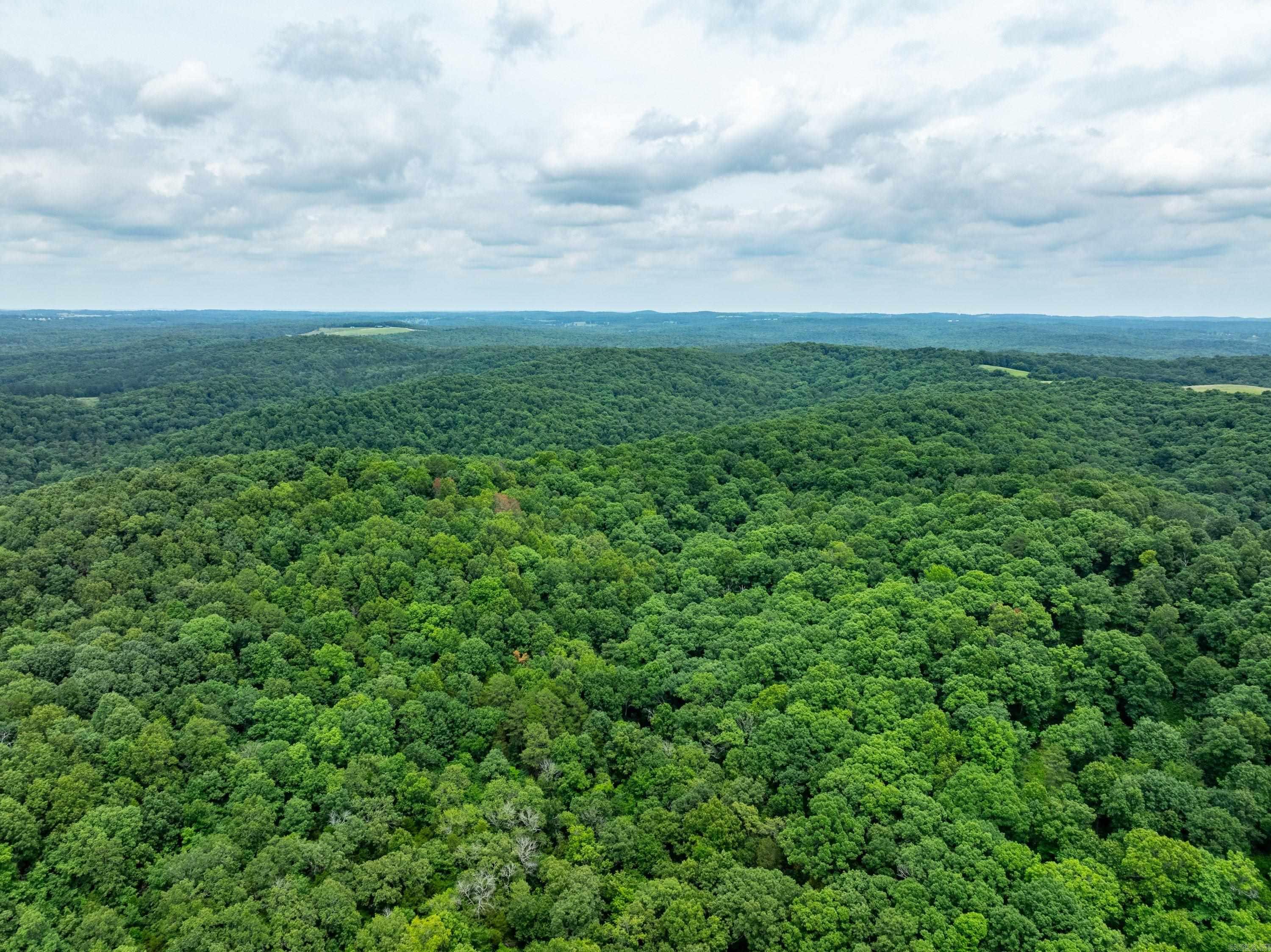 Exceptional Hunting Property in Independence County, Arkansas Opportunities like this don't come along very often. If you've been searching for an affordable piece of hunting property in a highly sought-after area just outside of Batesville, Arkansas, this one deserves a serious look.  This beautiful 40 +/- Acres in Independence County offers excellent hunting habitat and tremendous potential for the buyer who is willing to think long-term. Please note that the property does not currently have a recorded legal easement for access. However, for someone who understands the value of owning quality hunting land and is willing to invest the time to pursue legal access, this could be an outstanding opportunity.  Properties in this location rarely become available at this price point. Whether you're looking to secure a hunting tract for the future, invest in land, or simply own a piece of the Ozarks, this property offers tremendous potential in an area known for quality wildlife and strong demand for recreational land.